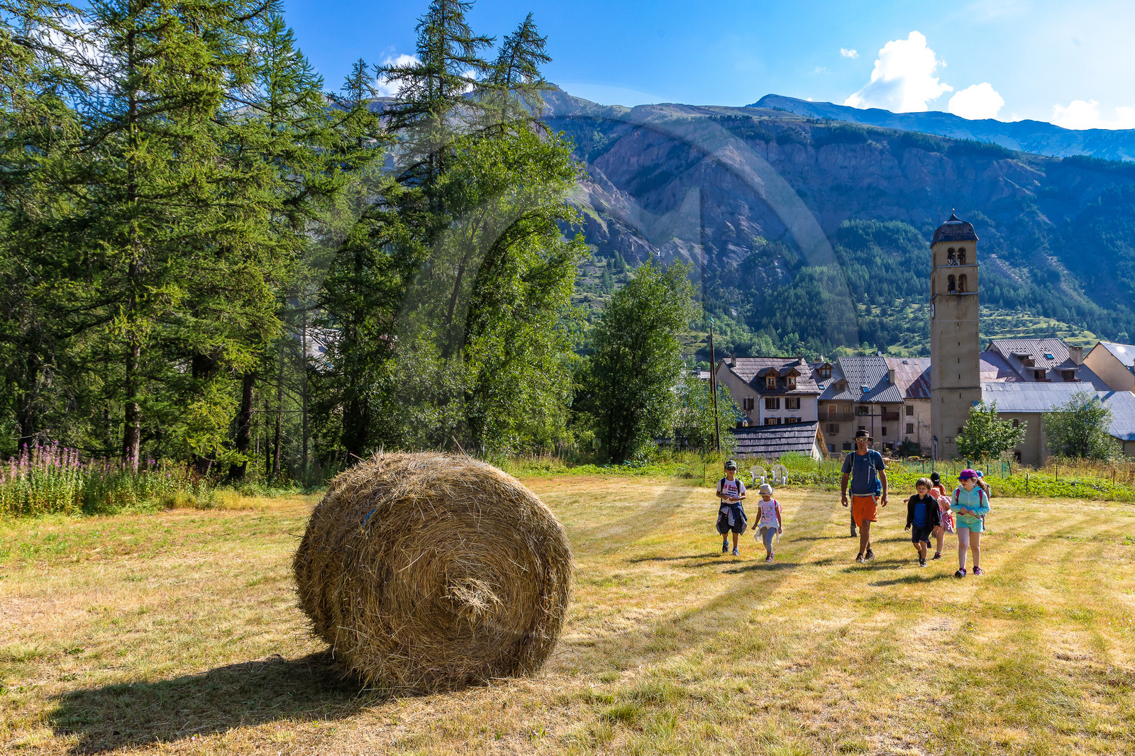 Curieux de nature, sortie découverte avec Cyril Mahout Curieux de nature, sortie découverte avec Cyril Mahout