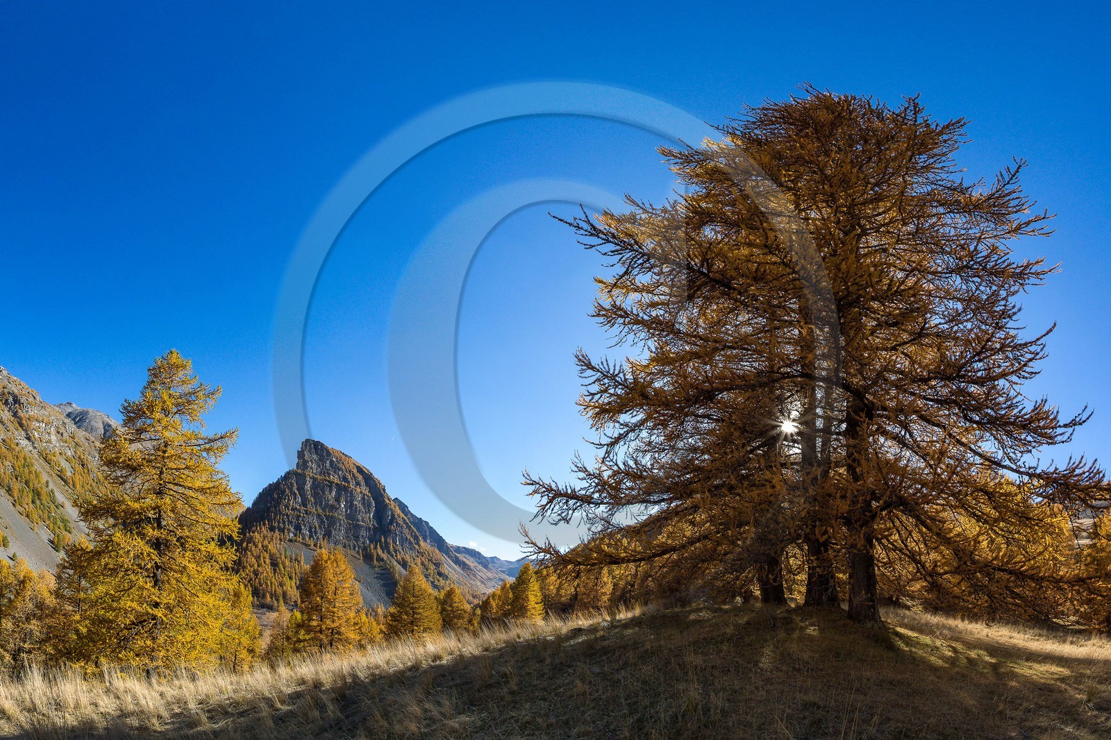 Jausiers, Lac des Sagnes et forêt de mélèzes à l'automne