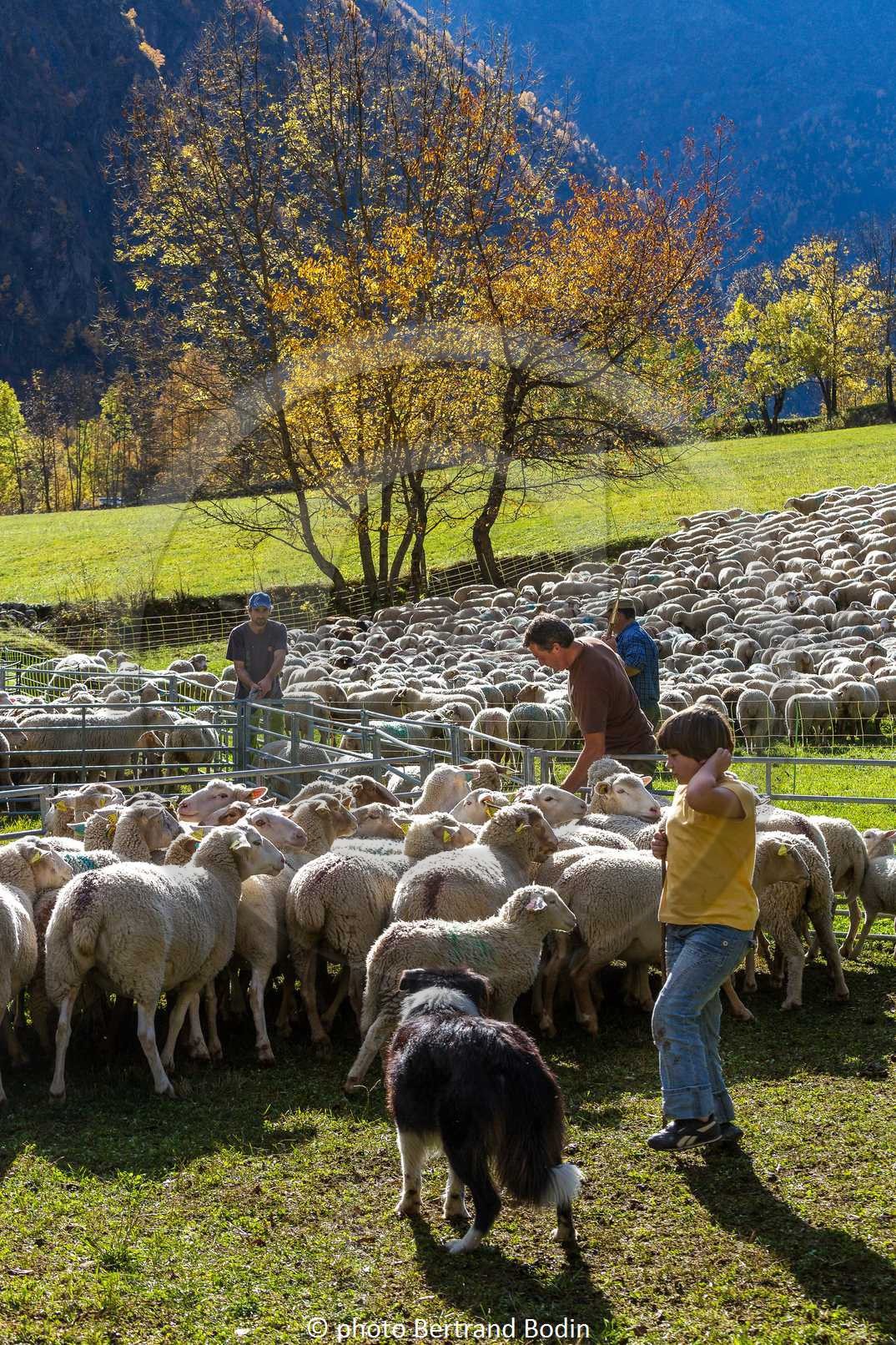 Le Désert, désenmontagnage