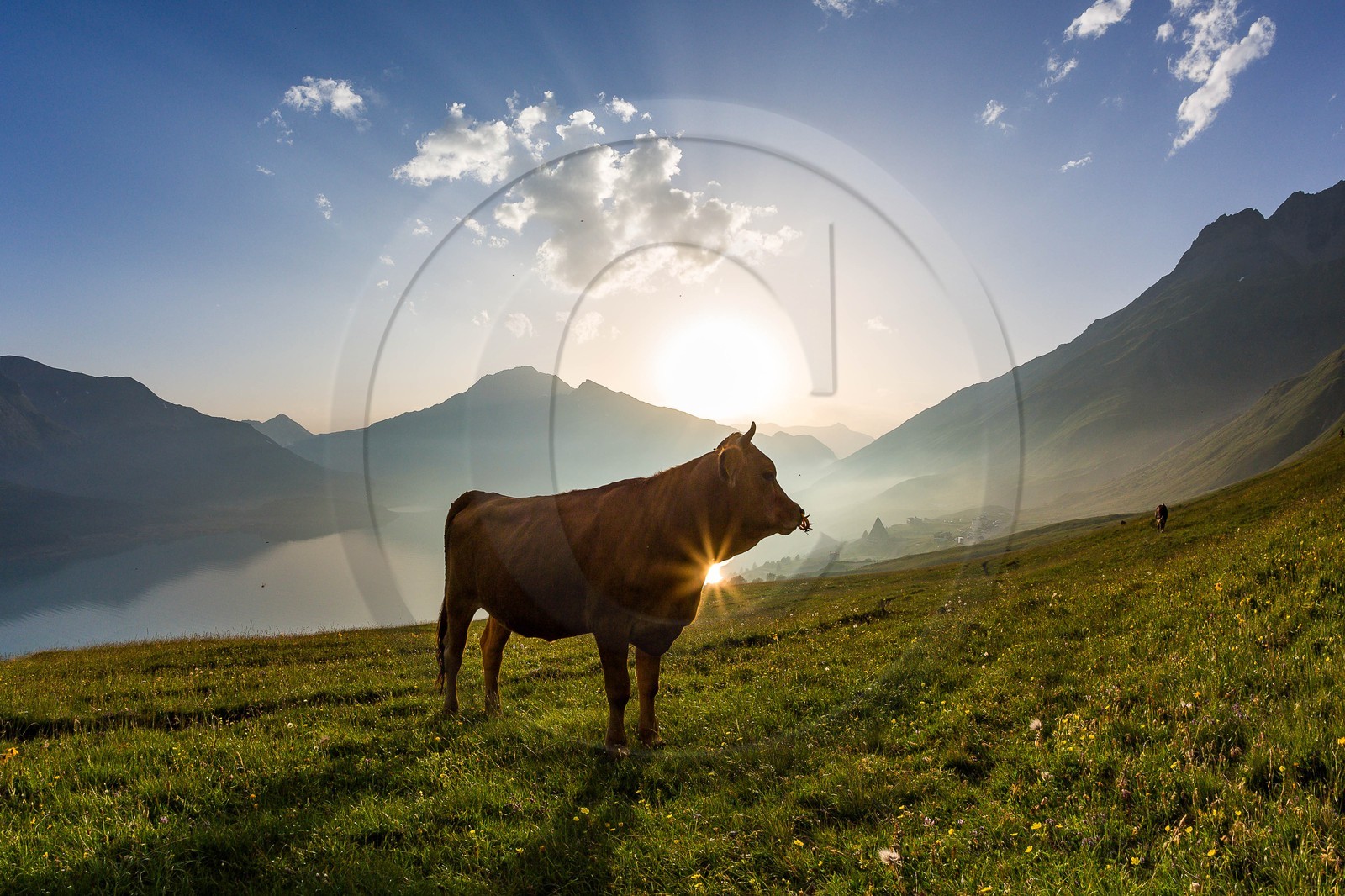 alpages du lac du Mont-Cenis