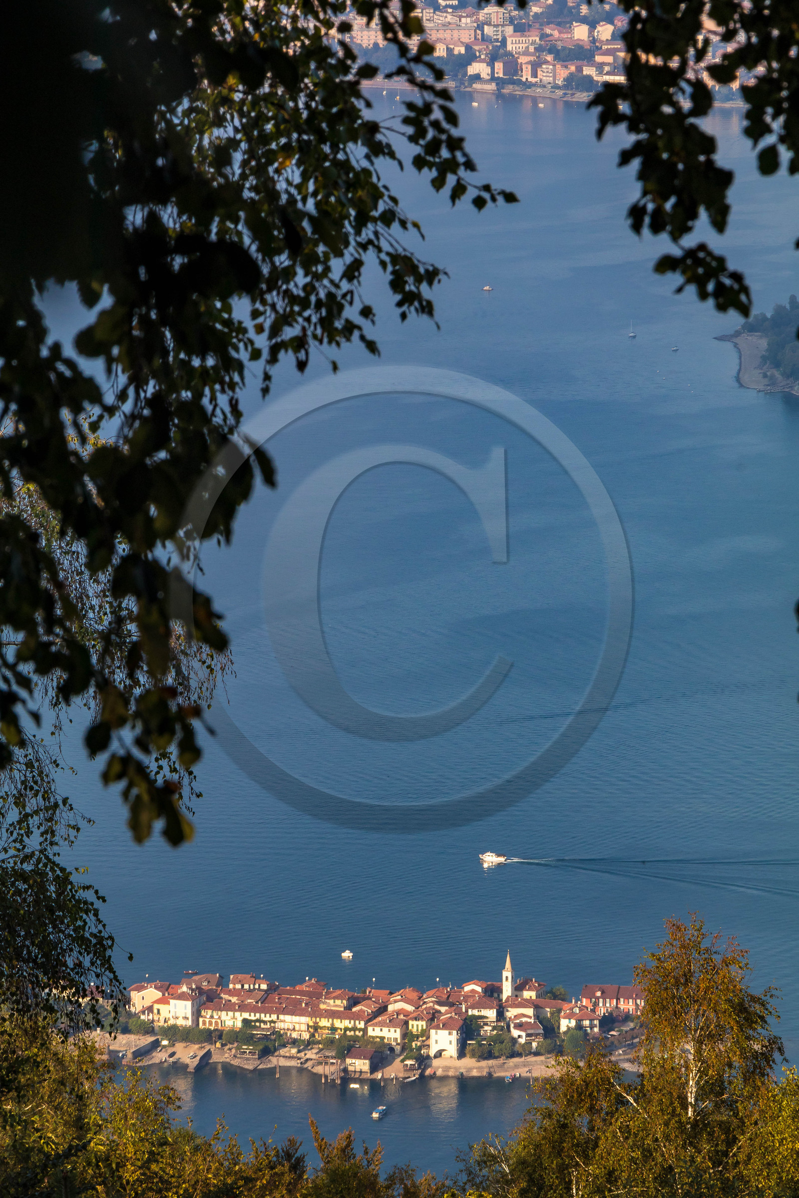 Monte Mottarone, jardin Alpinia Monte Mottarone, jardin Alpinia