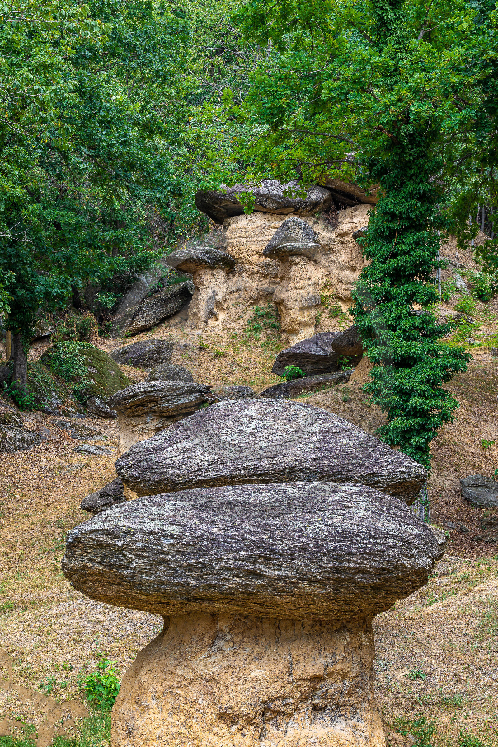 Valle Maira, Villar San Costanzo, Riserva Naturale Ciciu del Villar Valle Maira, Villar San Costanzo, Riserva Naturale Ciciu del Villar