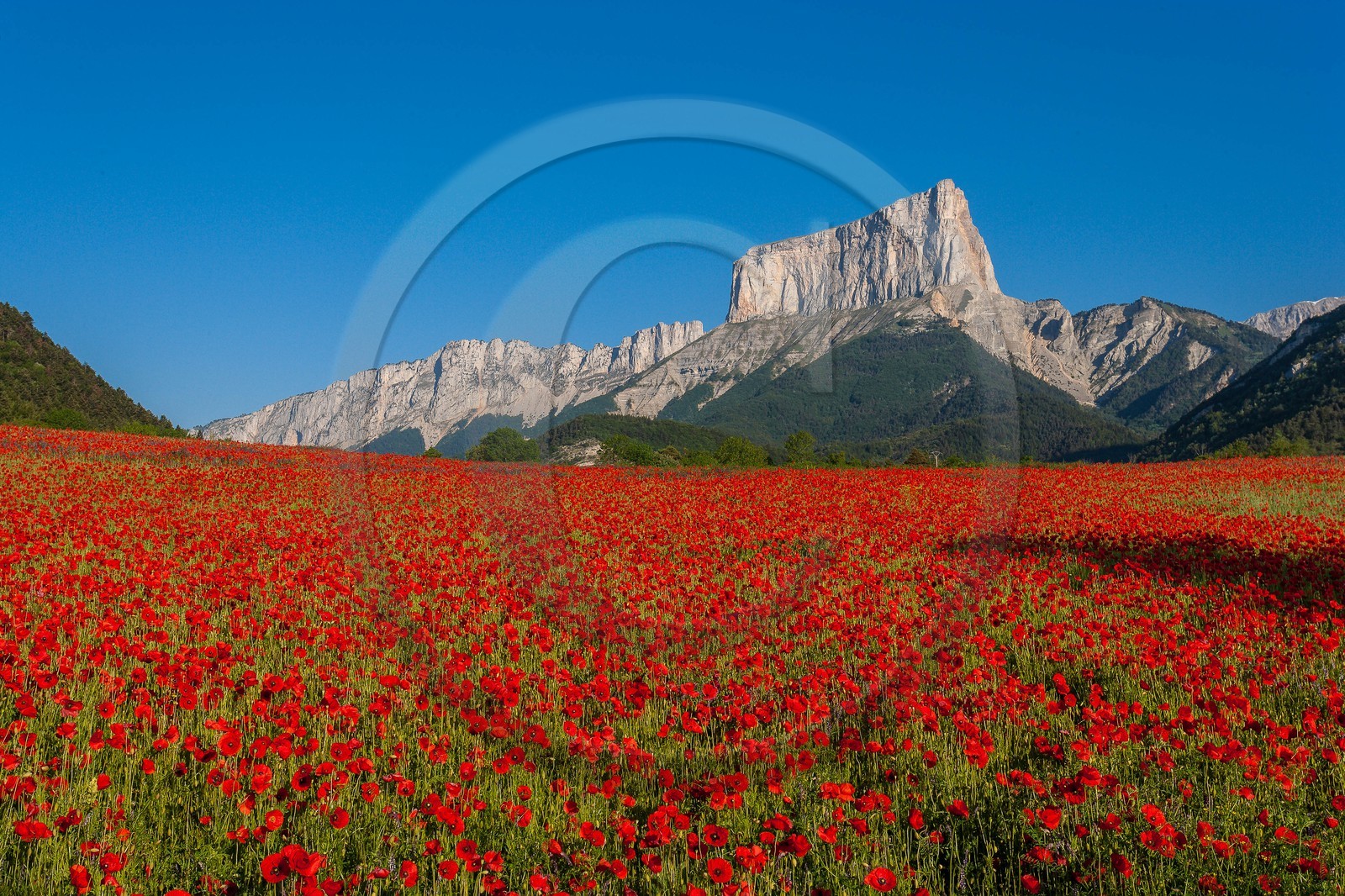 Trièves, le Mont-Aiguille Trièves, le Mont-Aiguille