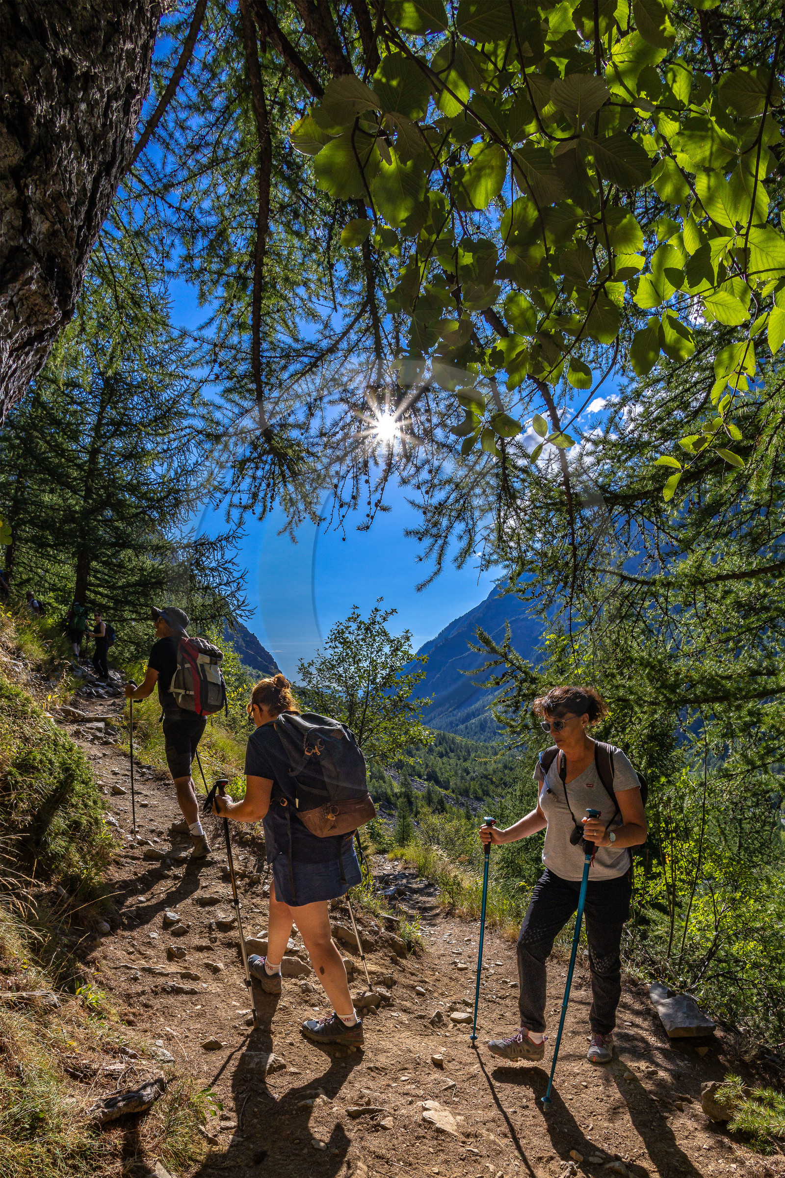 Vallon des Bans