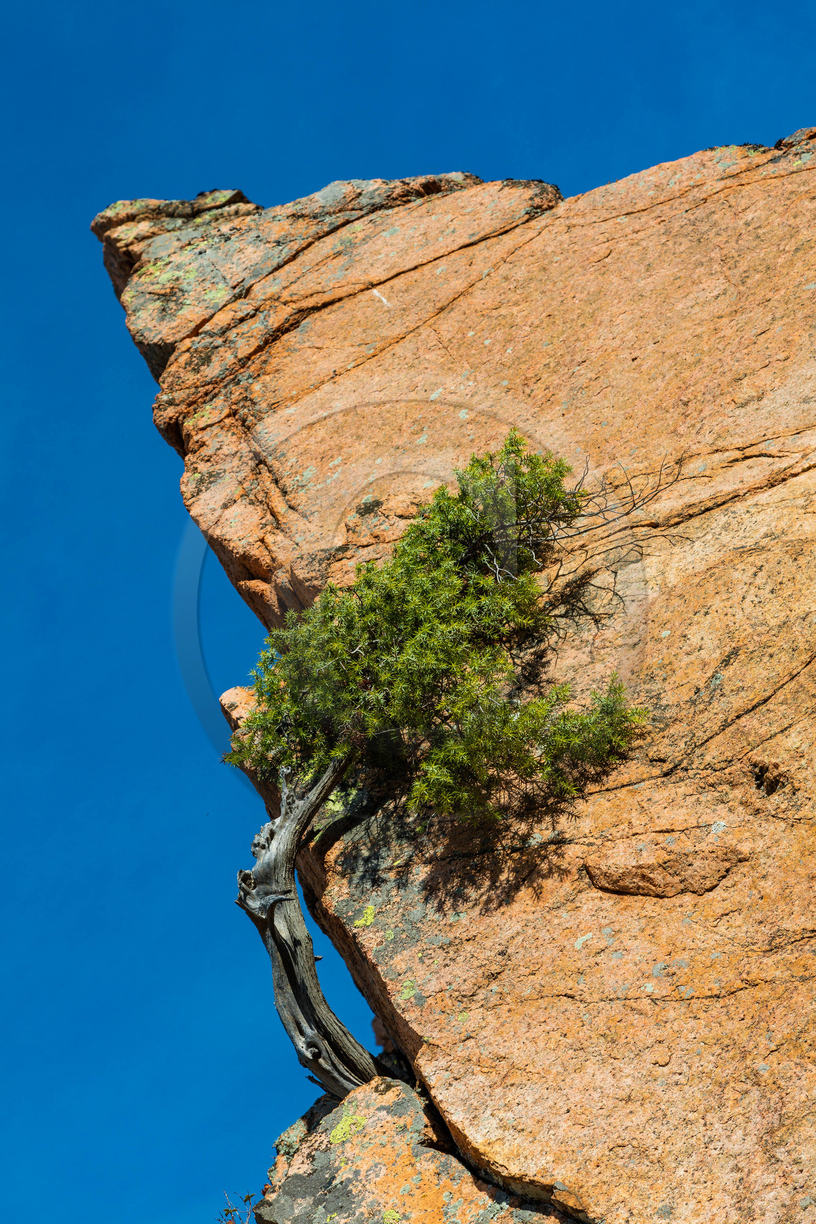 Calanche de Piana