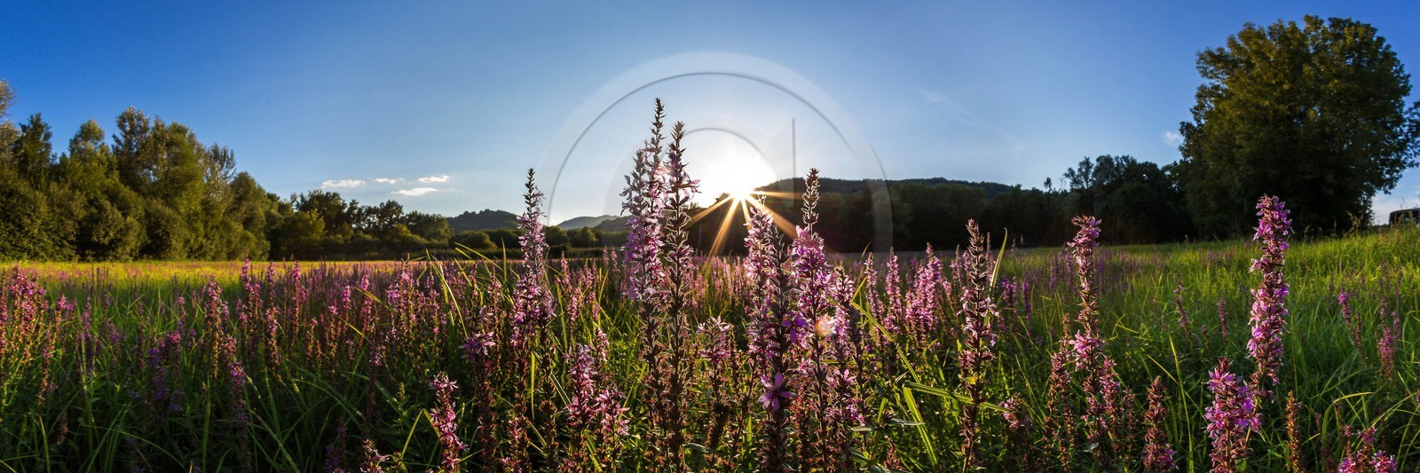 ENS de l'Isère, Boucle des Moïles ENS de l'Isère, Boucle des Moïles