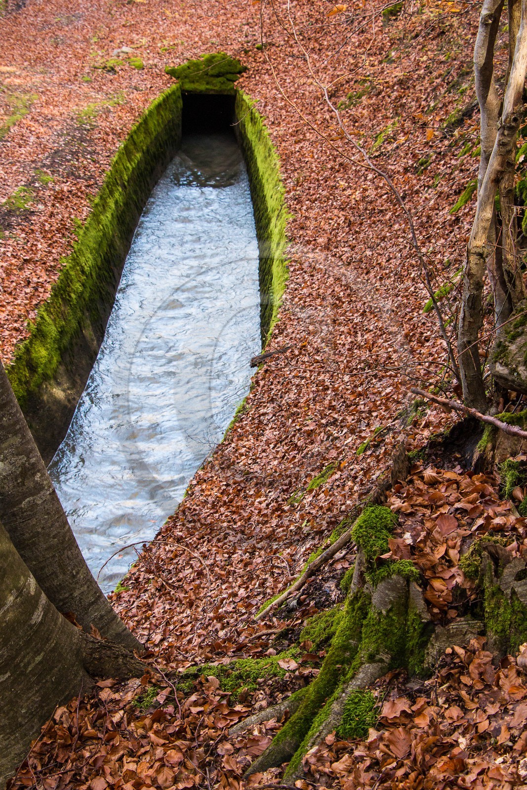 Canal du Beaumont au dessus du hameau les Angelas