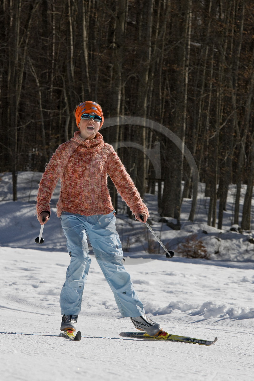 Ski nordique Ski nordique