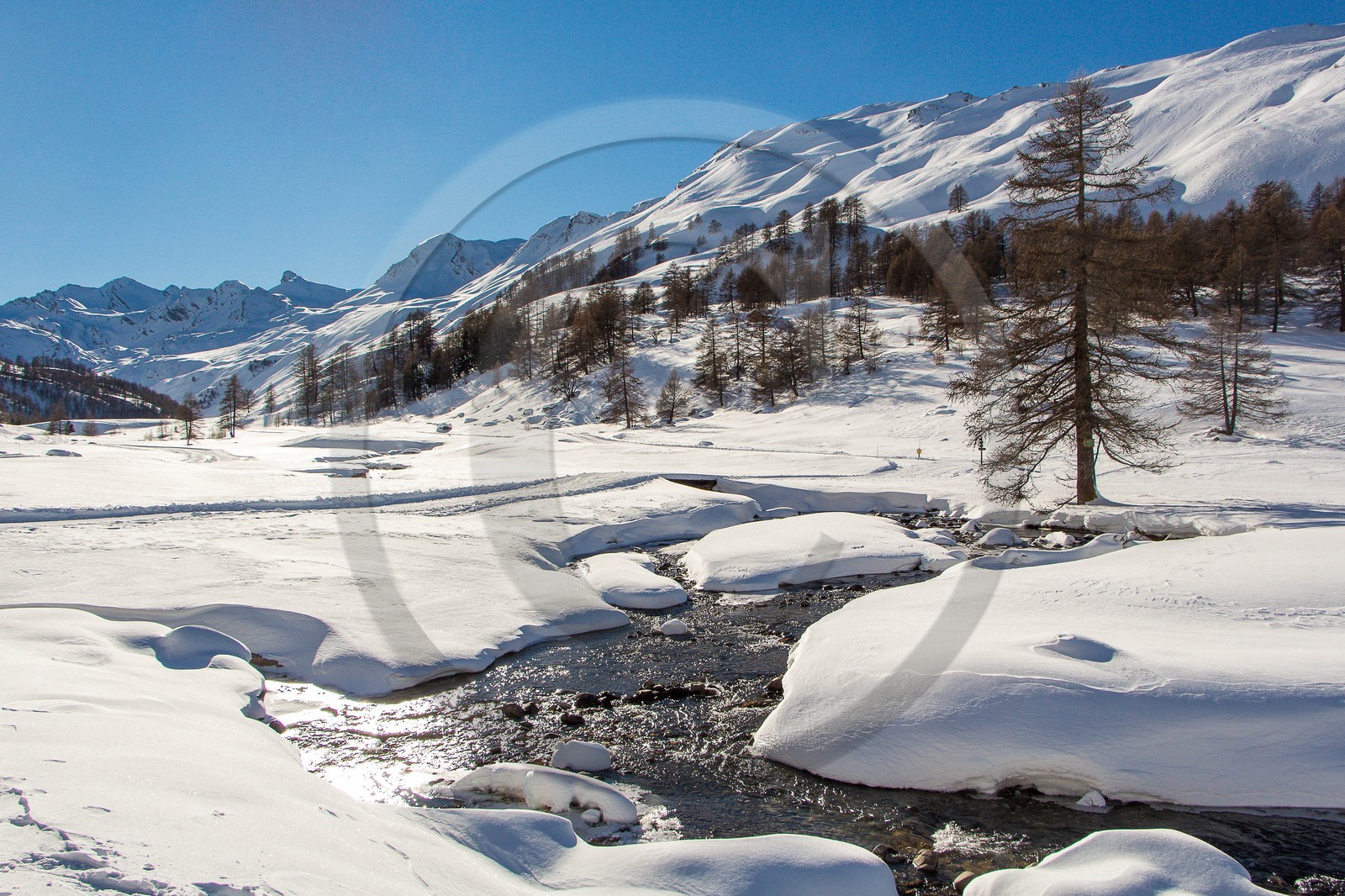 Col de Larche, vallon du lauzanier, randonnée raquettes