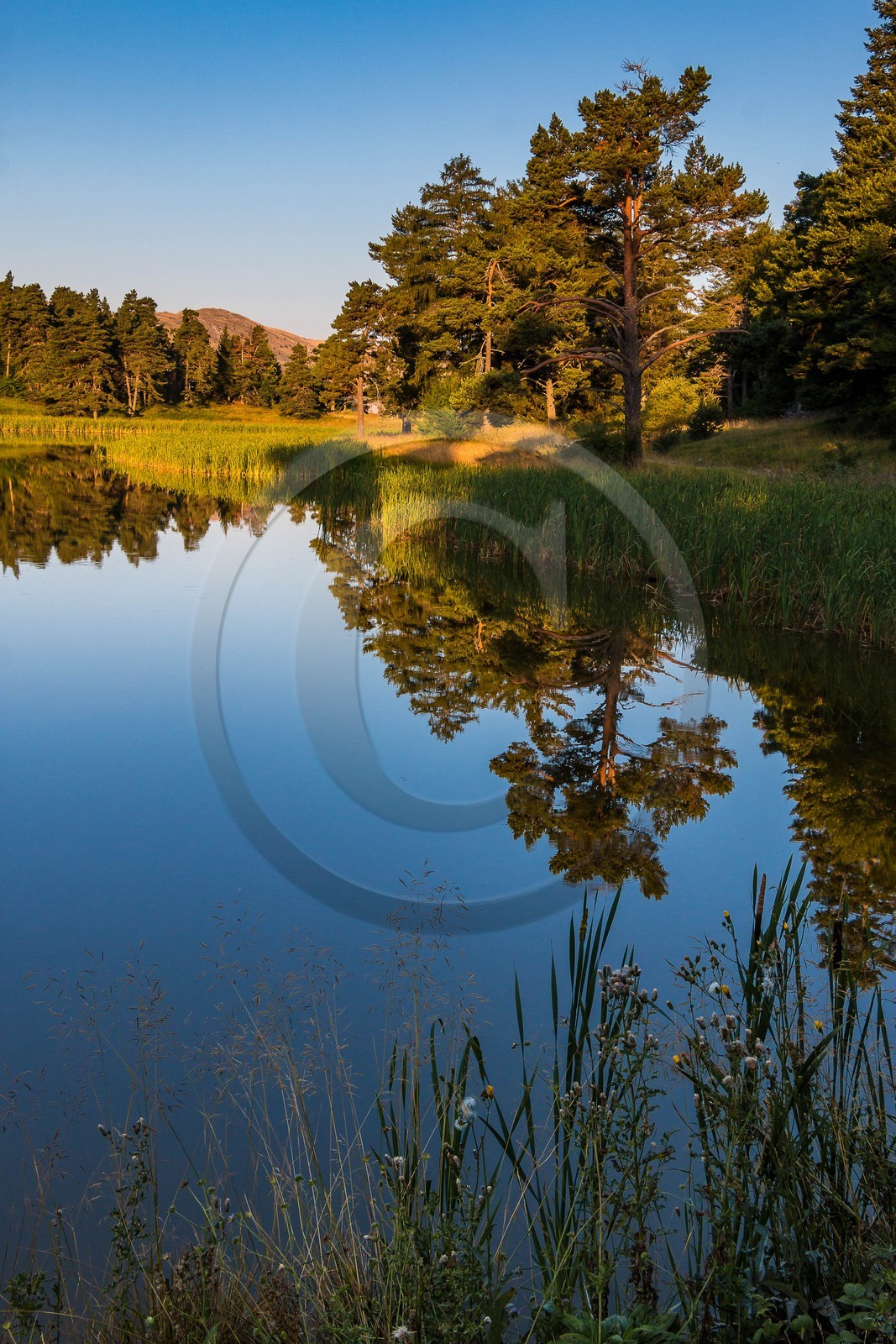 Esparron-La-Bâtie, lac d'Esparron