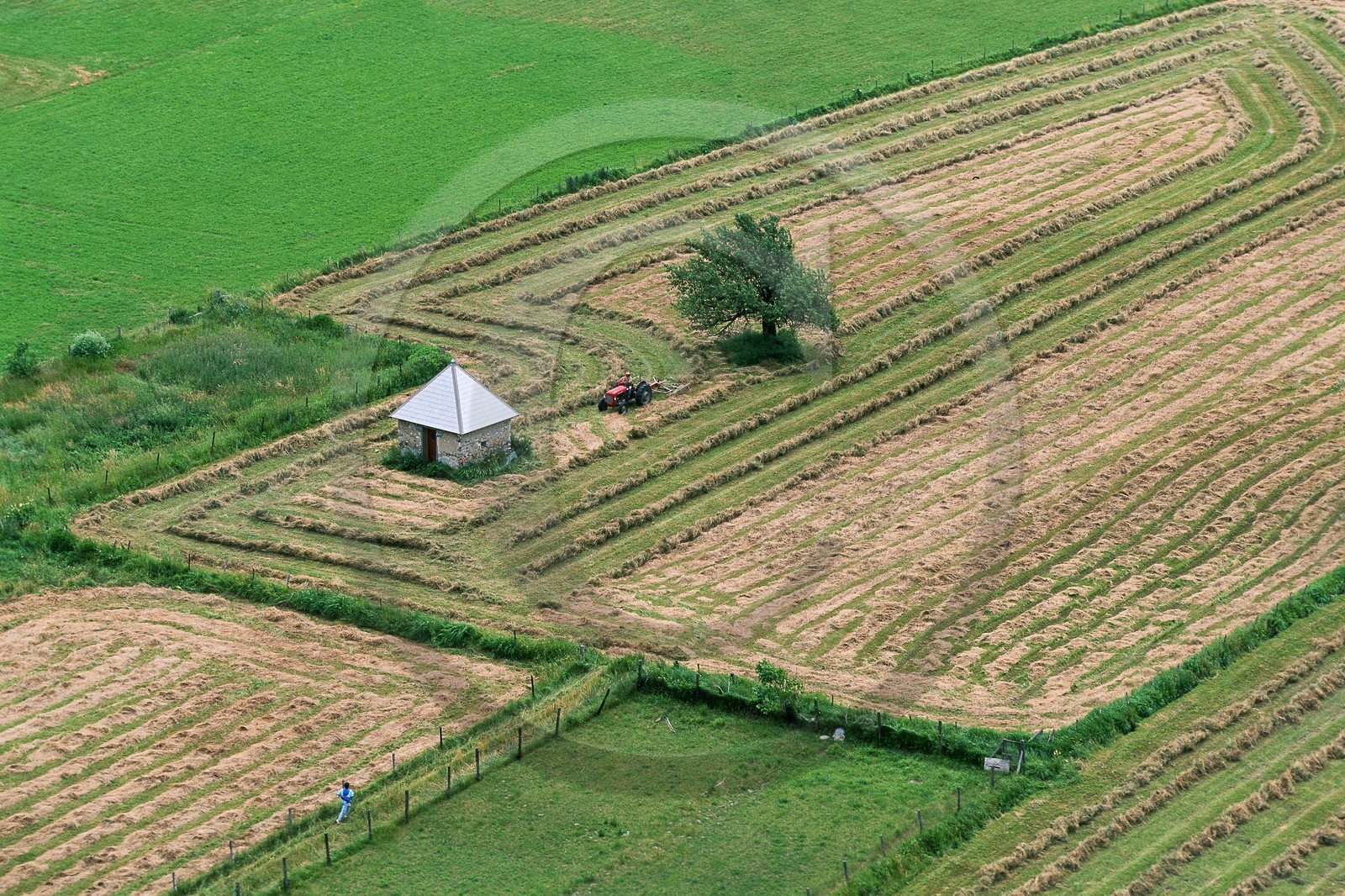 Embrun, Les jardins sous le Roc, les foins Embrun, Les jardins sous le Roc, les foins