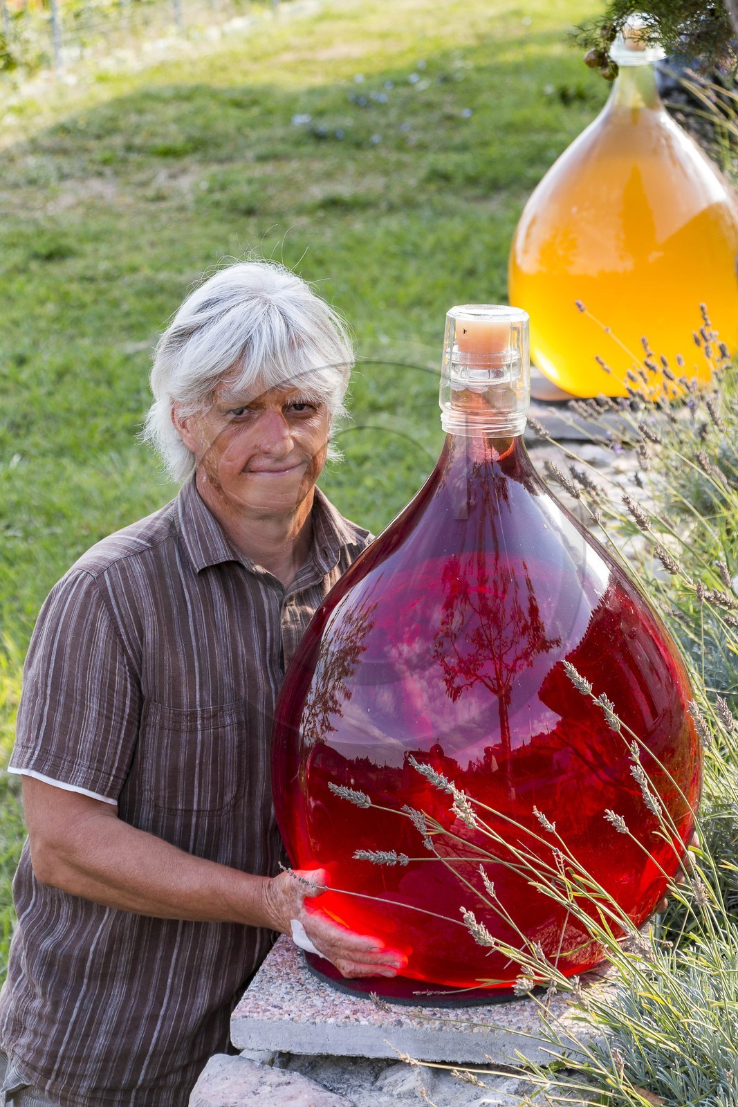 Vignoble de Saint-Jeannet, propriétaire récoltant Denis Rasse Vignoble de Saint-Jeannet, propriétaire récoltant Denis Rasse