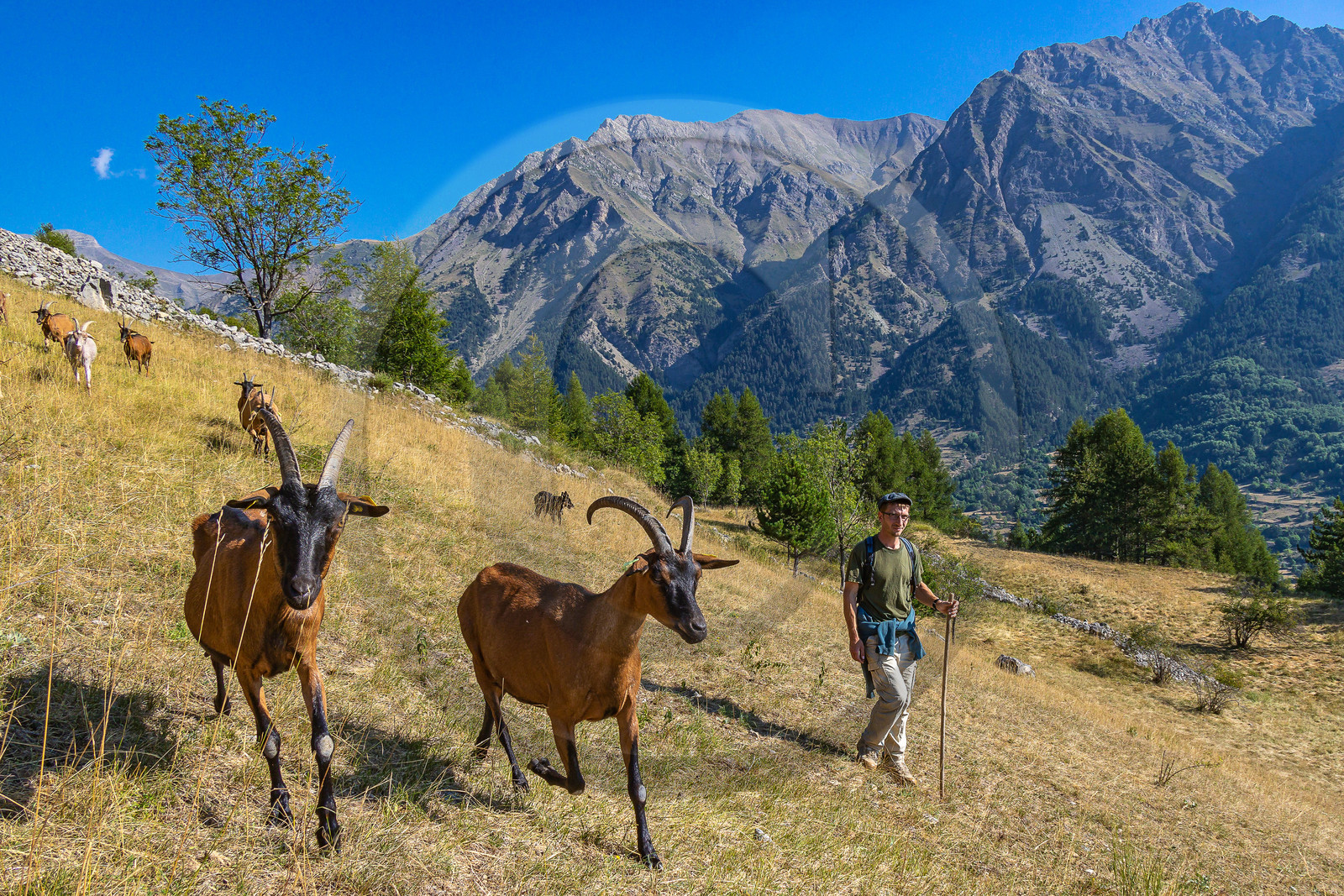 Ferme du Bayle Ferme du Bayle