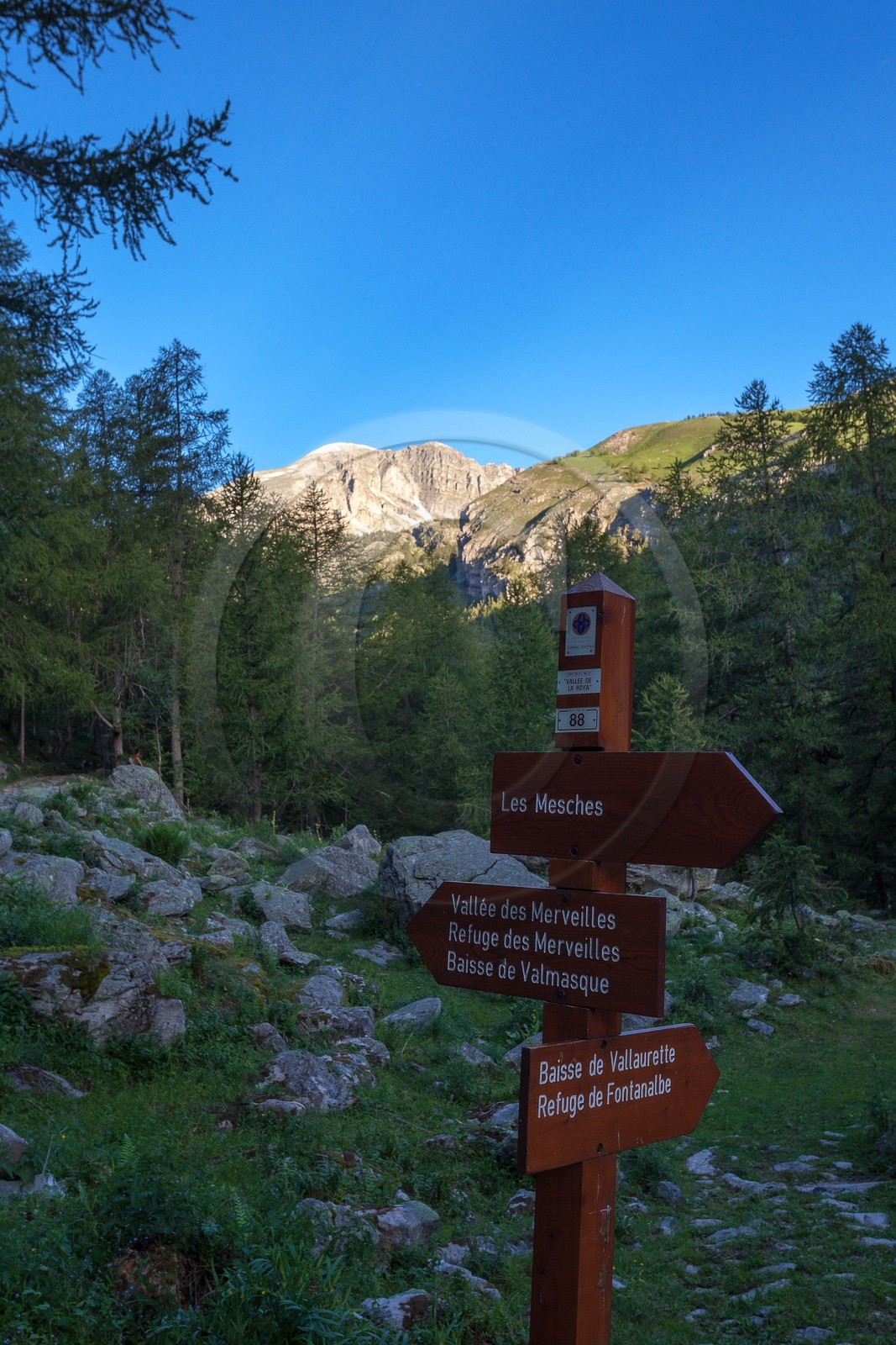 Vallée des Merveilles Vallée des Merveilles