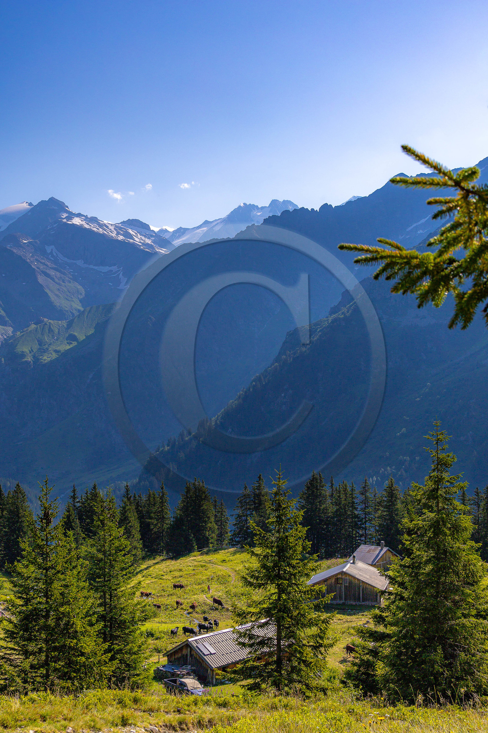Réserve Naturelle des Contamines-Montjoie Réserve Naturelle des Contamines-Montjoie