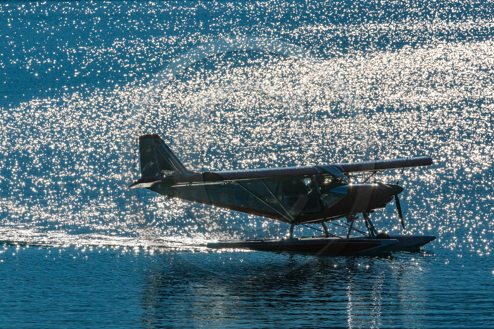 Dragonfly Aviation