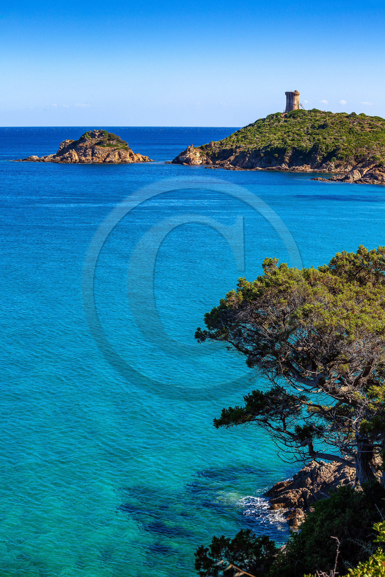 Tour Génoise de Fautea Tour Génoise de Fautea