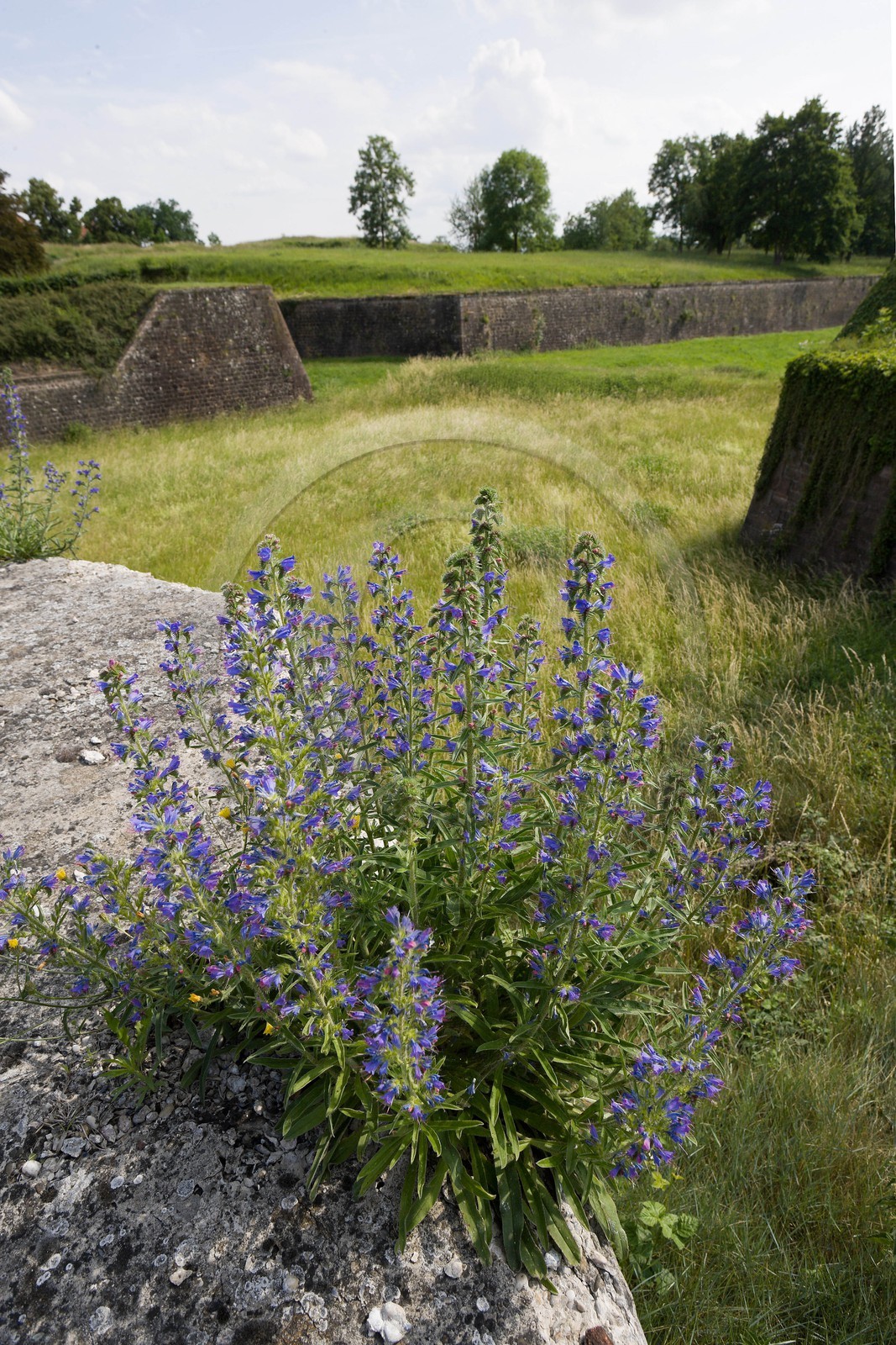 Neuf-Brisach, Fortifications Vauban inscrites au patrimoine mond