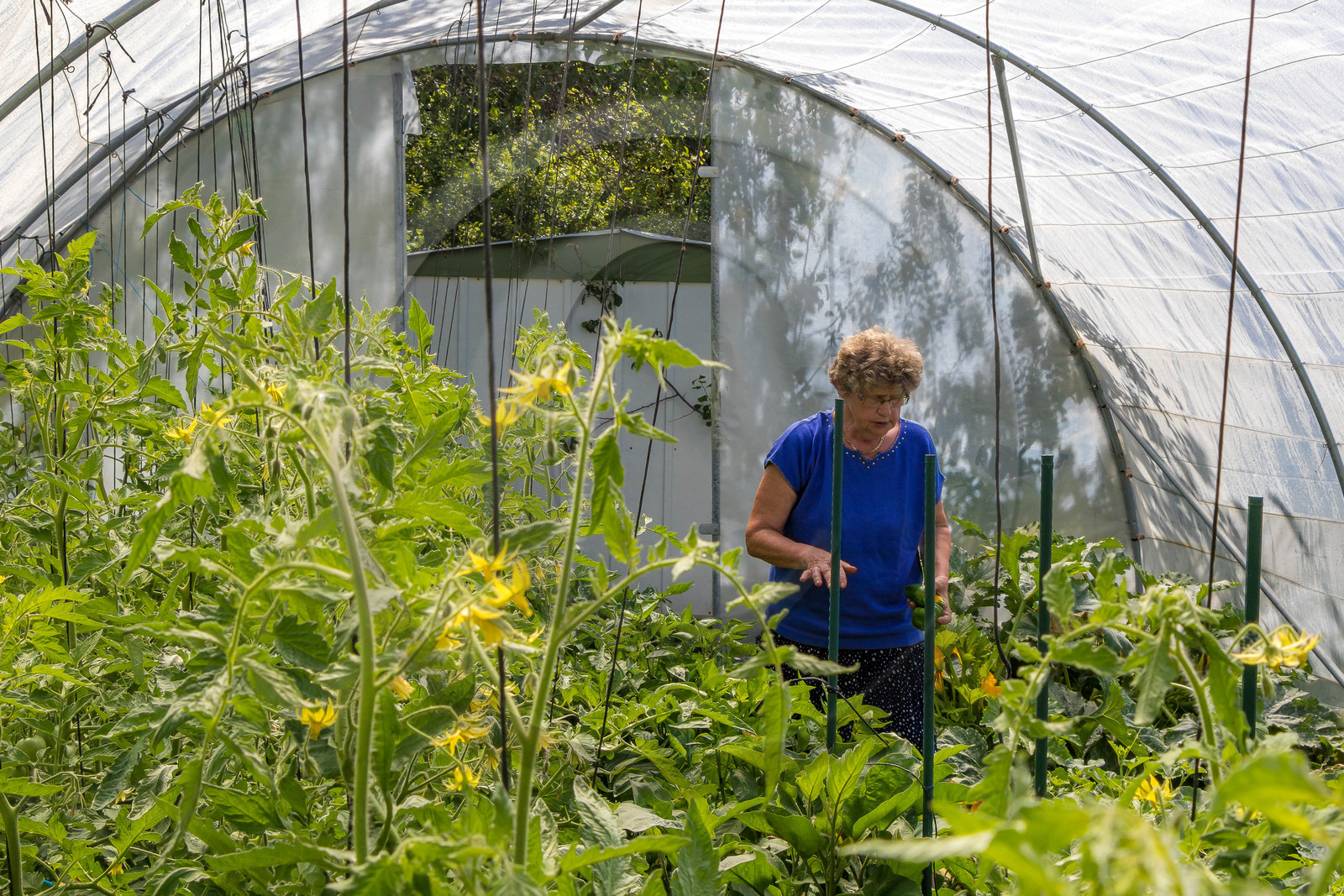 Jocelyne Pascal , Auberge de Caléyères