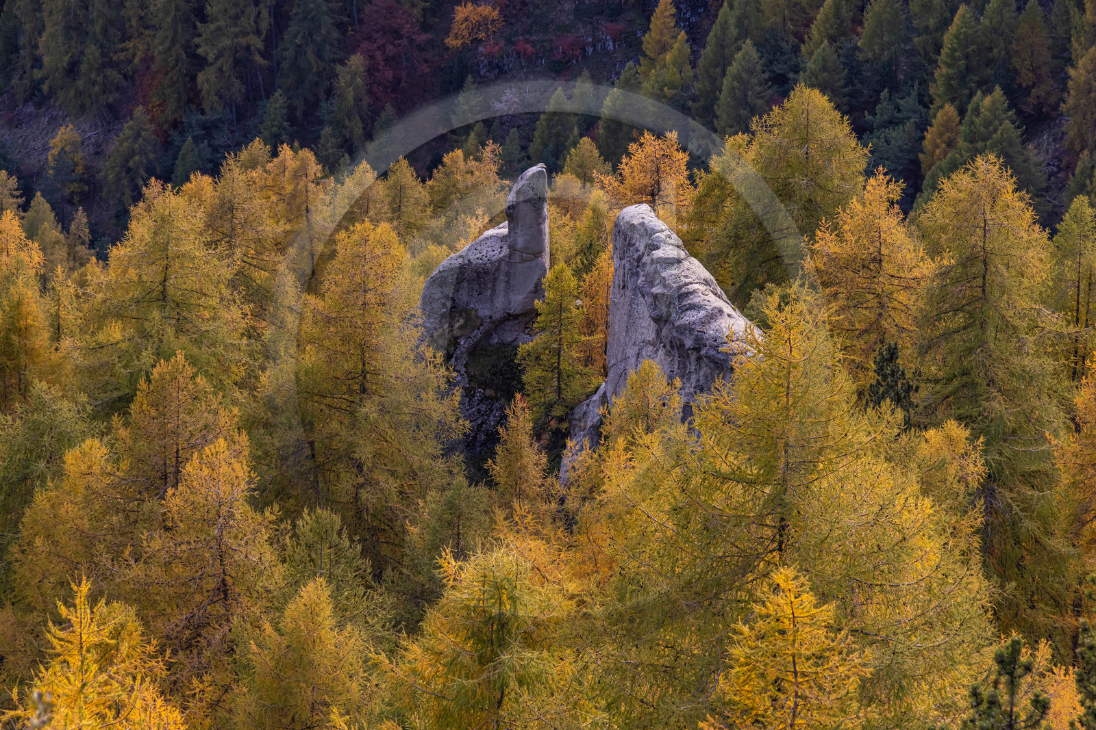 L'automne dans la Vallée du Champsaur L'automne dans la Vallée du Champsaur