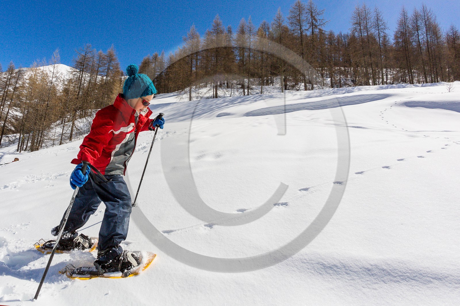 Crévoux, randonnée famille en raquettes à neige Crévoux, randonnée famille en raquettes à neige