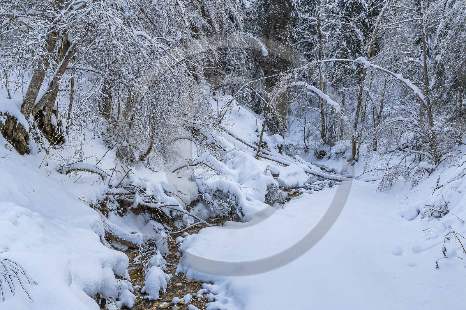 ENS de l'Isère, Les Ecouges ENS de l'Isère, Les Ecouges