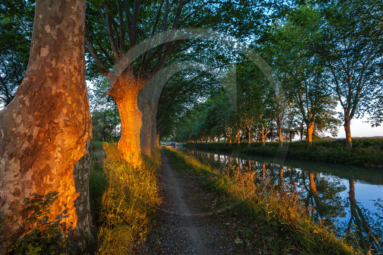 Canal du Midi, inscrit au Patrimoine mondial de l'UNESCO Canal du Midi, inscrit au Patrimoine mondial de l'UNESCO