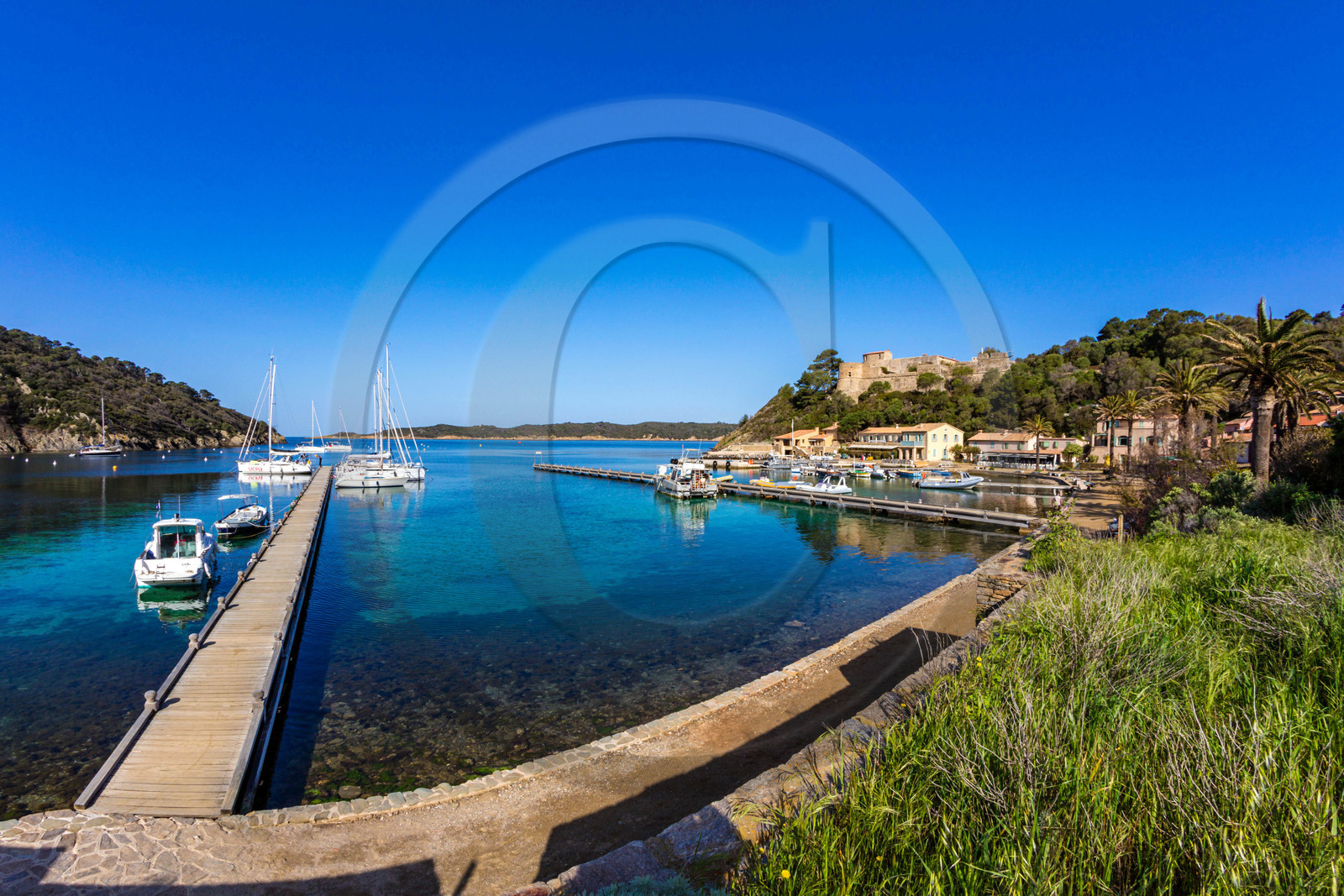 Parc national de Port-Cros Parc national de Port-Cros