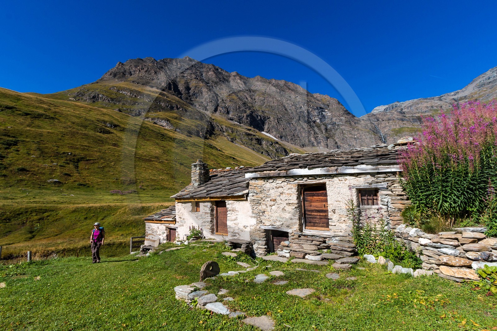 Alpage du Vallon
