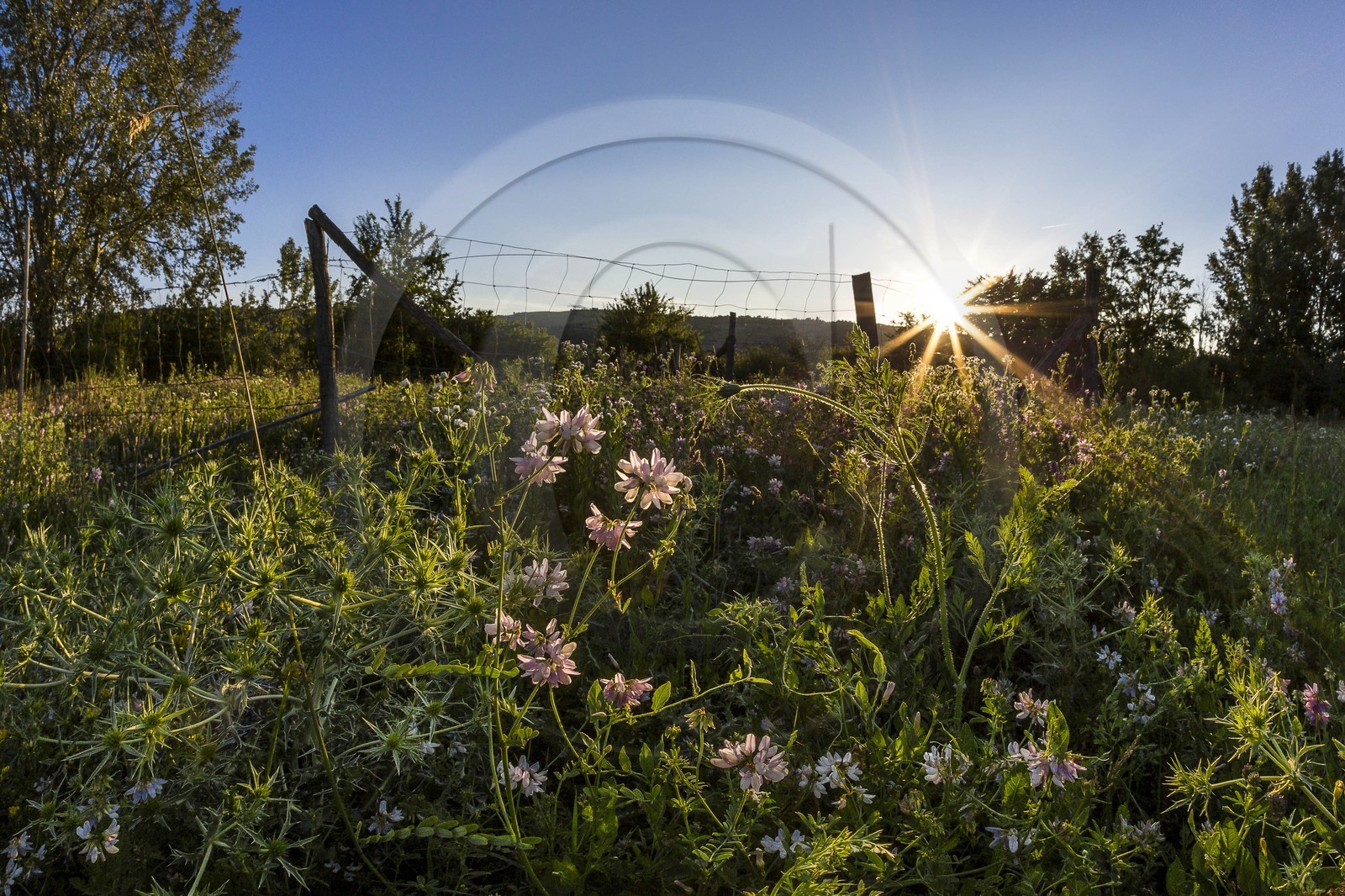 ENS de l'Isère, , le méandre des Oves ENS de l'Isère, , le méandre des Oves