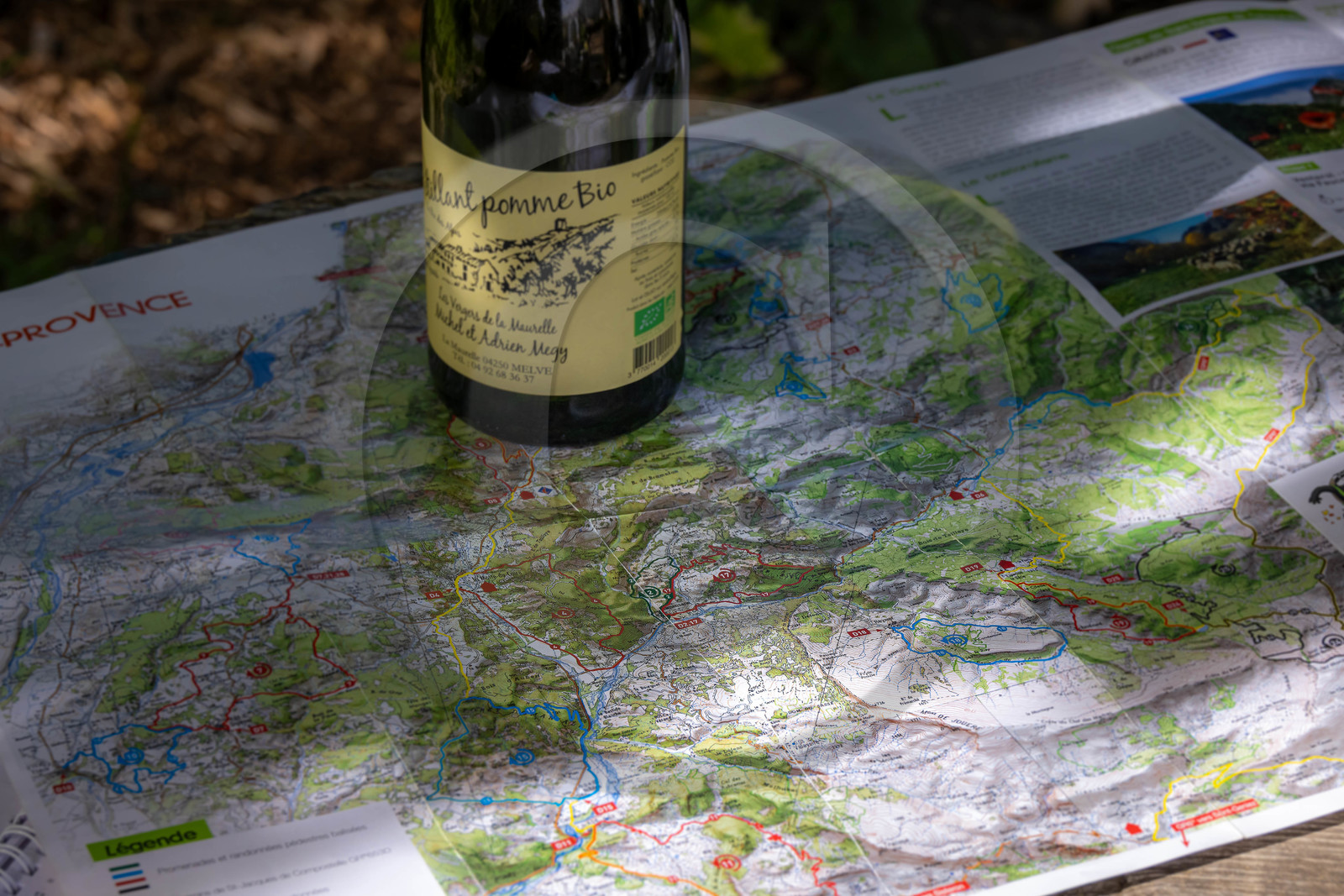 Camping municipal Le Mousserein
