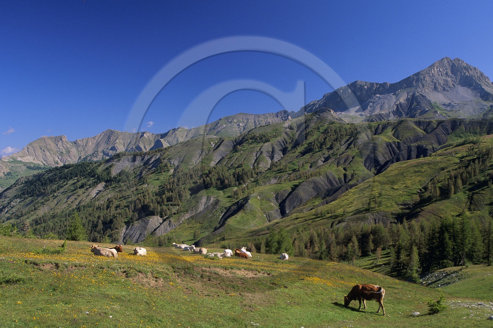 Col des Champs et la Tête de l'Encombrette
