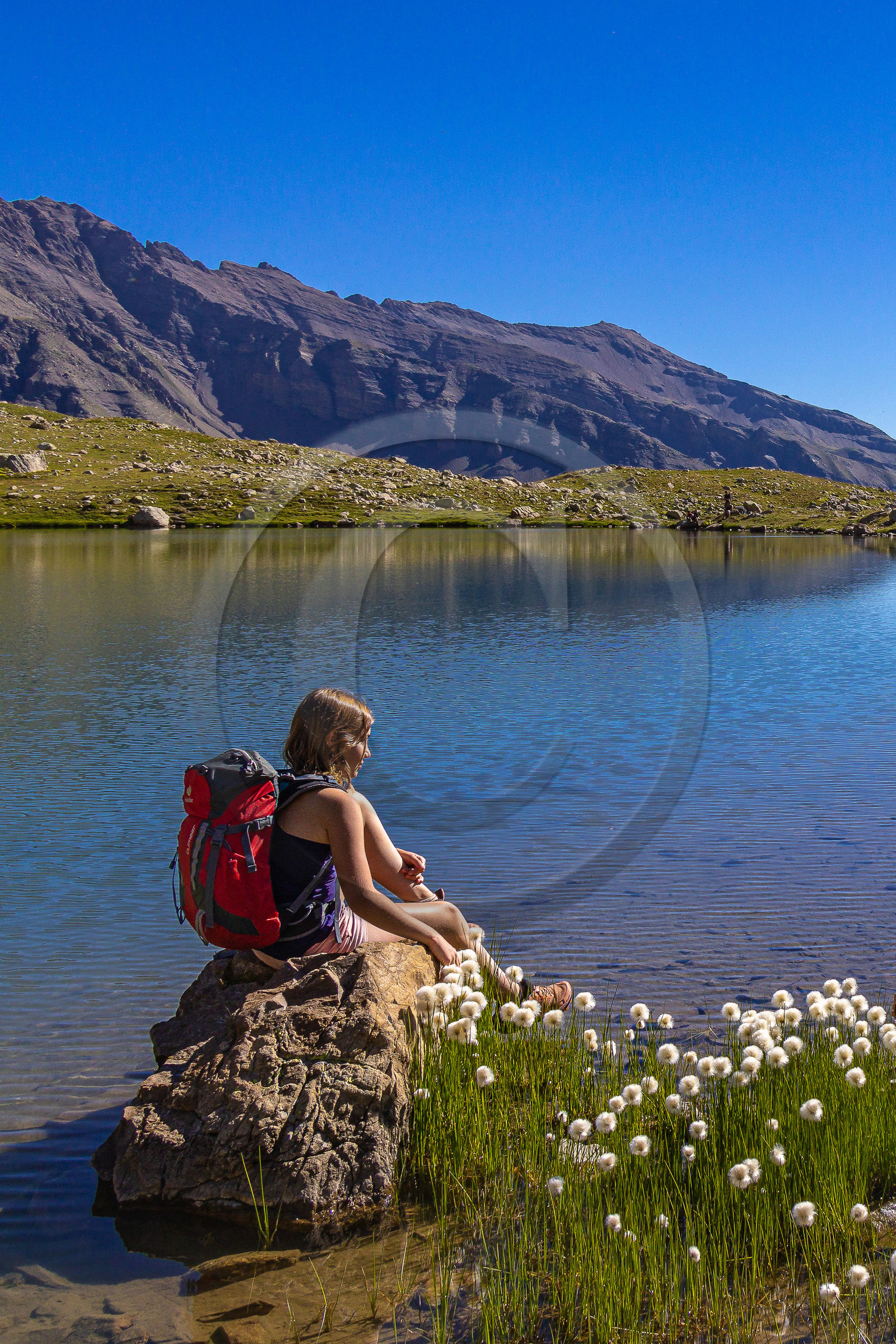 Lac Palluel Lac Palluel