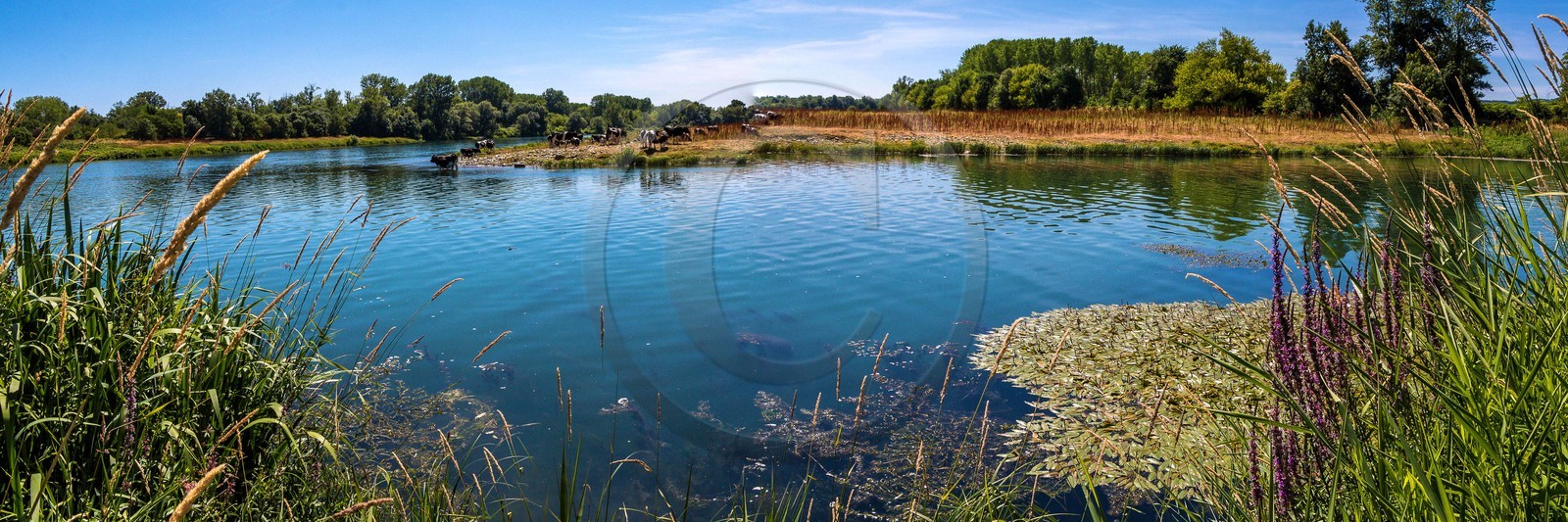 ENS de l'Isère, , le méandre des Oves ENS de l'Isère, , le méandre des Oves