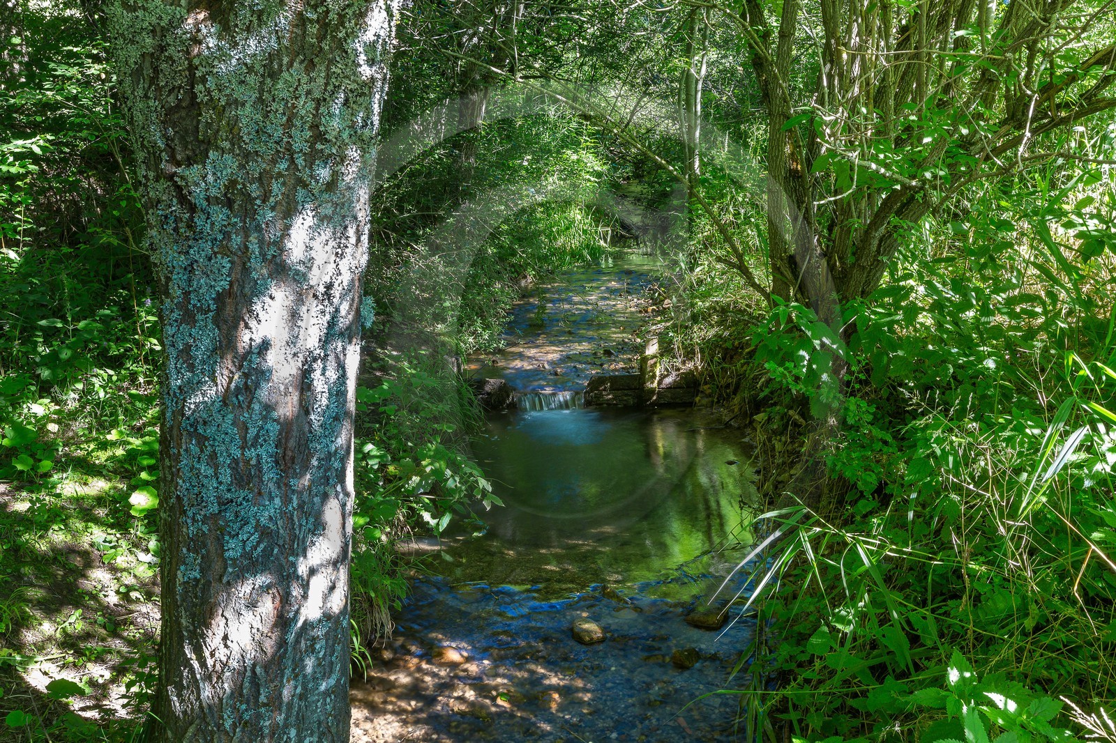 ENS de l'Isère, Marais des Sagnes