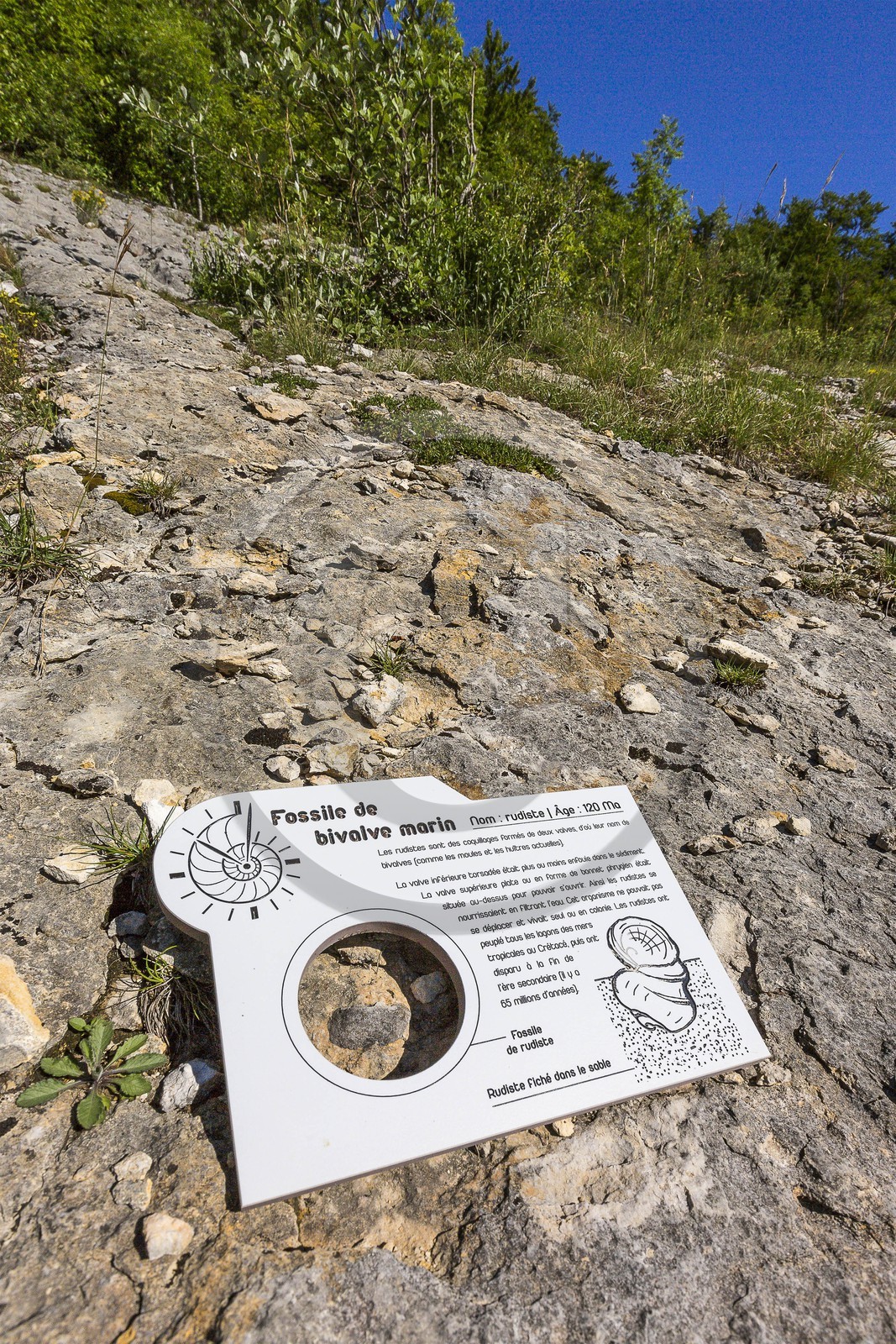 ENS de l'Isère, vallée fossile des Rimets ENS de l'Isère, vallée fossile des Rimets