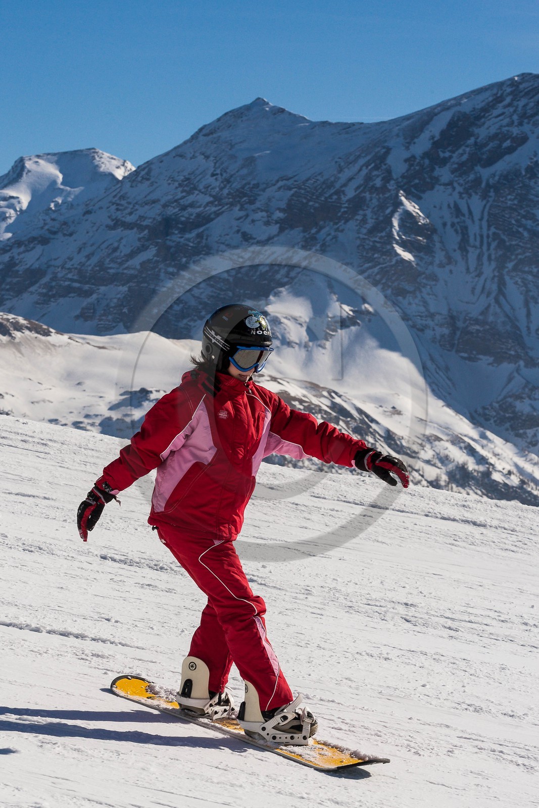 Surf des neige, Snowboard