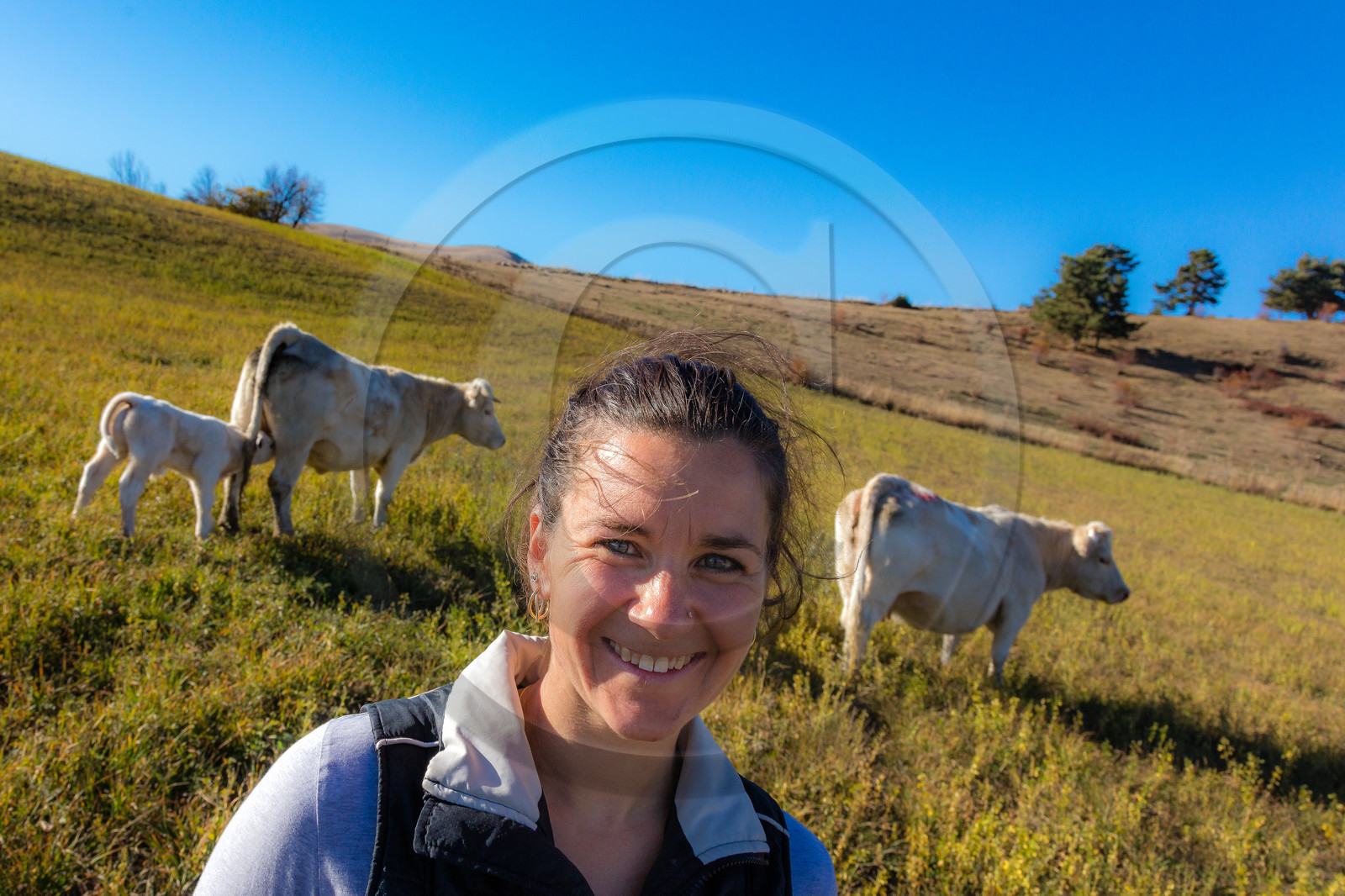 Ferme de Sauron, Laure Marcellin