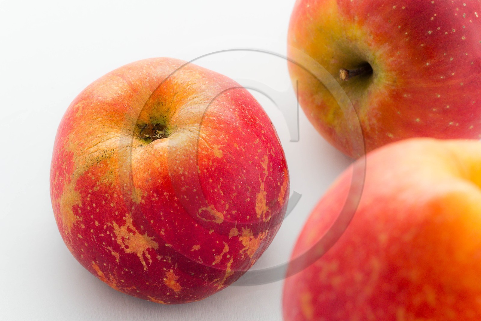 Noëlle et Franck Jacob, producteurs de fruits Noëlle et Franck Jacob, producteurs de fruits