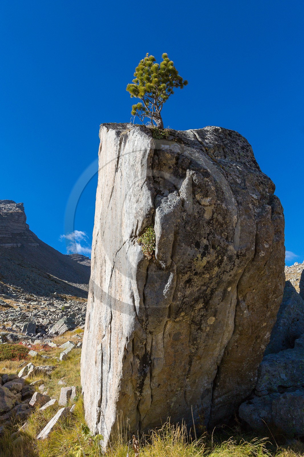 Ubaye, Vallon du Laverq Ubaye, Vallon du Laverq