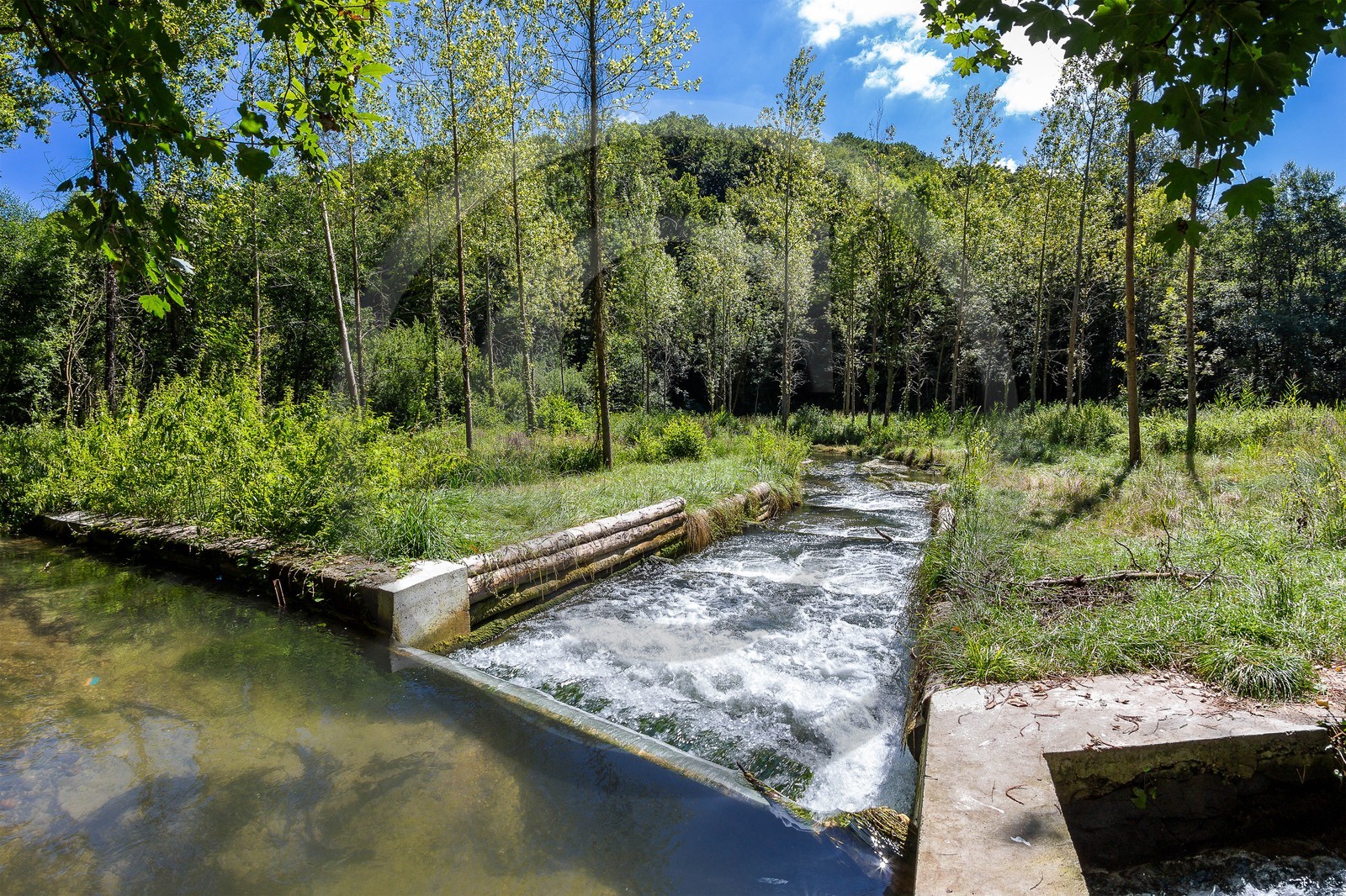 ENS de l'Isère, étang de Cote Manin