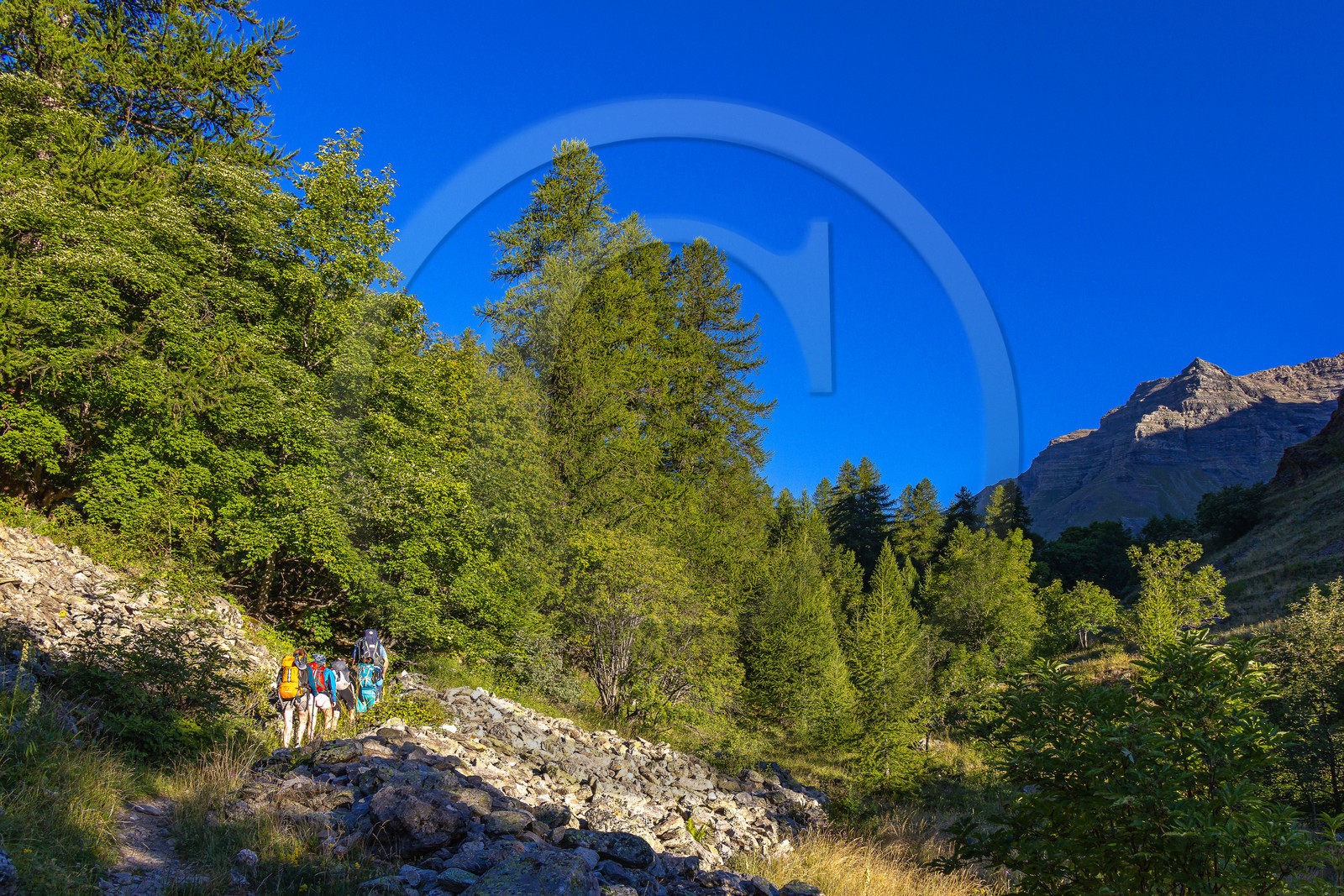 Vallée de Freissinières