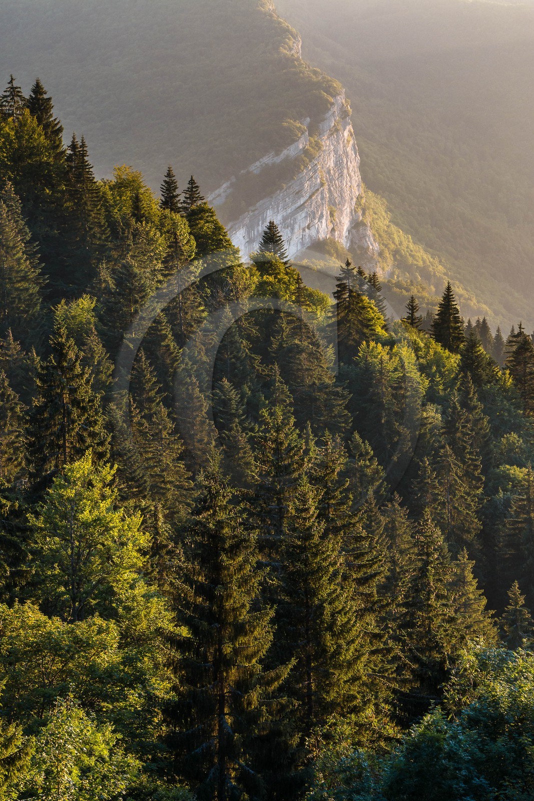 ENS de l'Isère, Les Ecouges