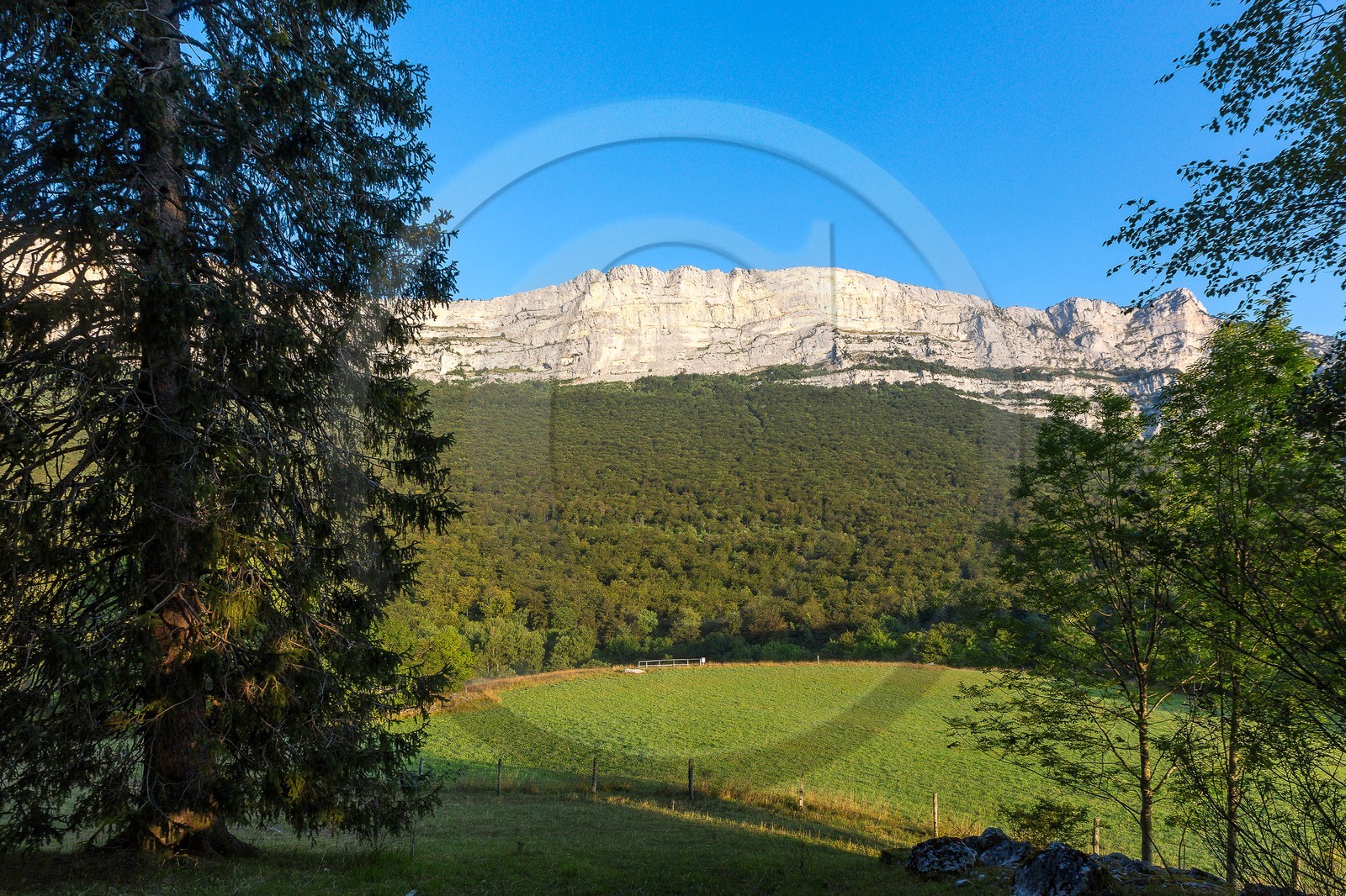 ENS de l'Isère,Tourbières du Peuil