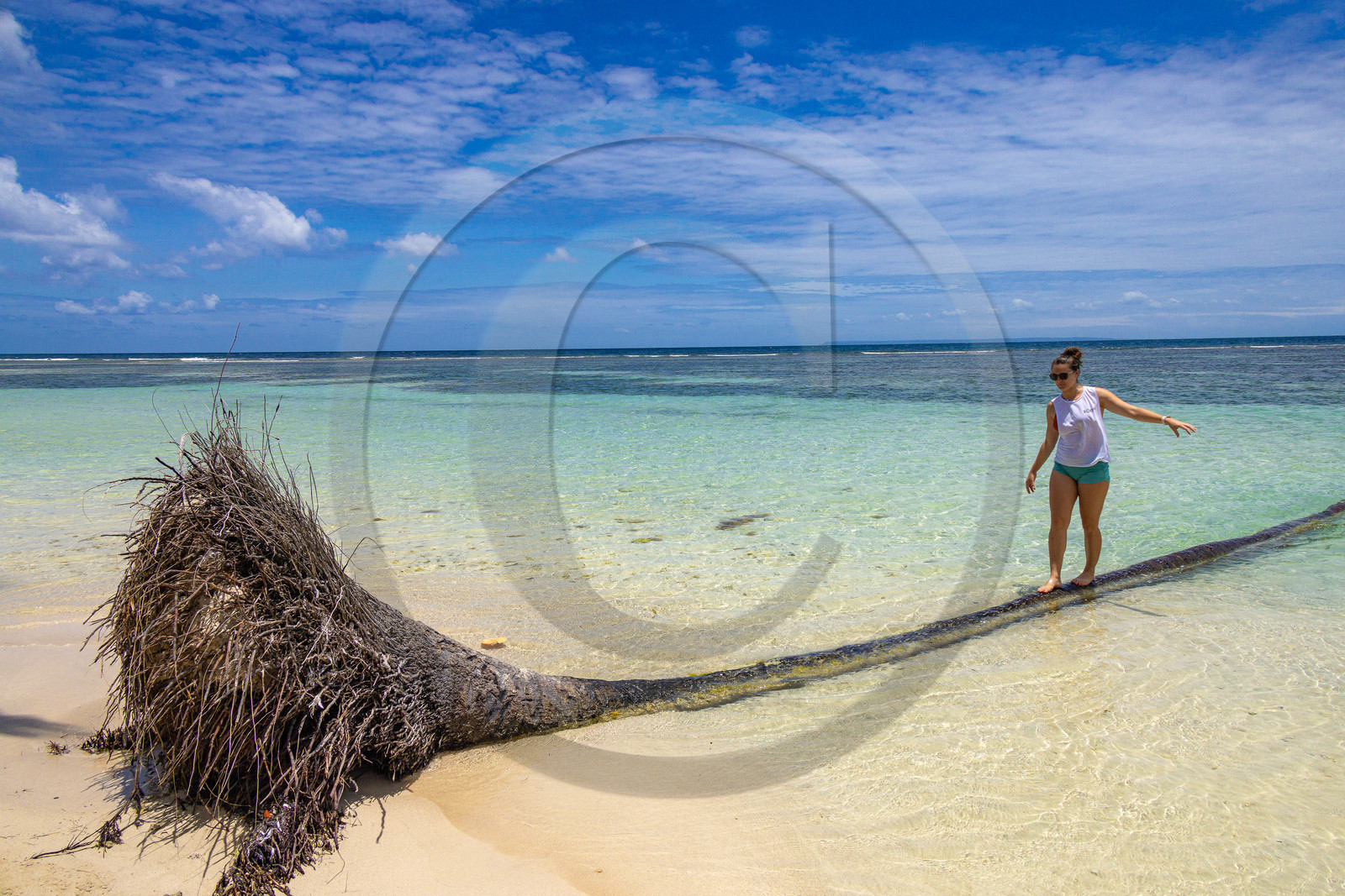 Guadeloupe, Saint-François, Anse Kahouanne Guadeloupe, Saint-François, Anse Kahouanne