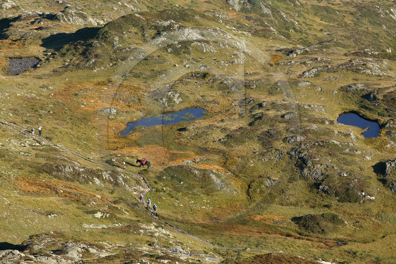 Réserve naturelle de Carlaveyron, col de Bellachat, randonnée avec portage par cheval Réserve naturelle de Carlaveyron, col de Bellachat, randonnée avec portage par cheval