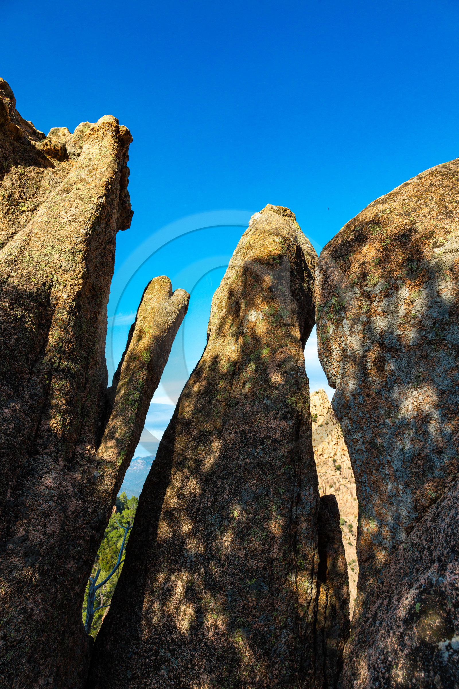 Calanche de Piana Calanche de Piana
