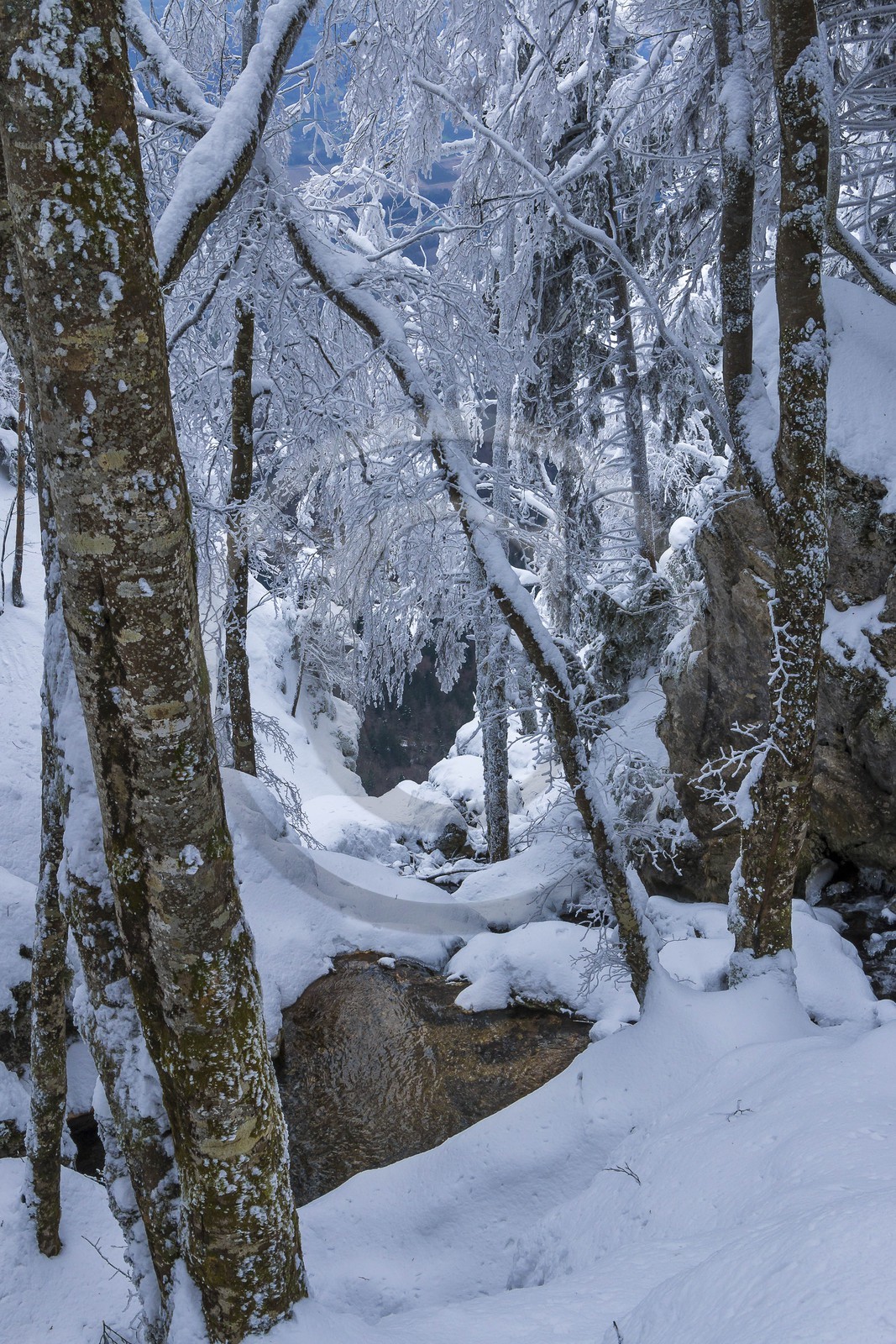 ENS de l'Isère, Les Ecouges