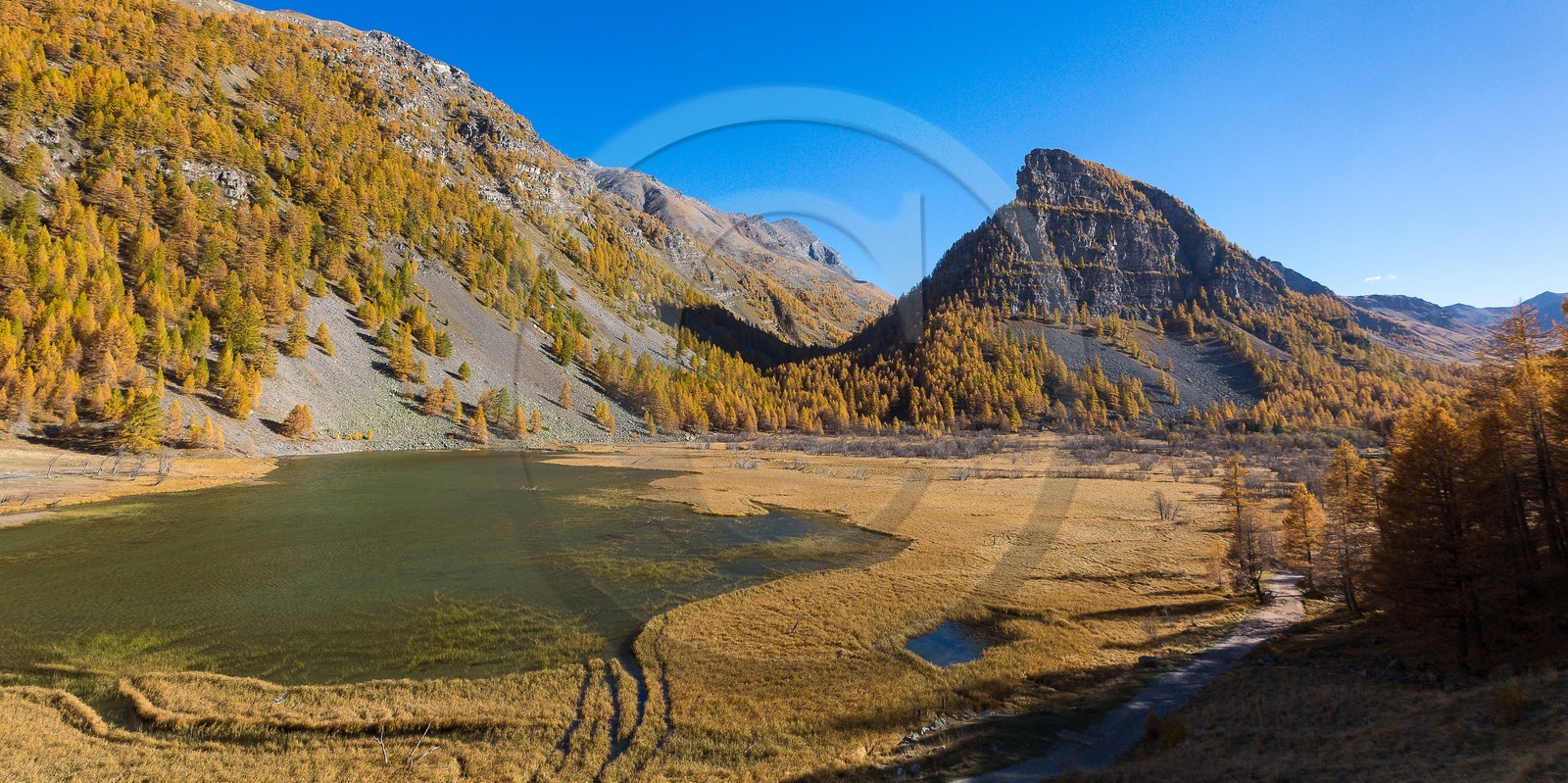 Jausiers, Lac des Sagnes et forêt de mélèzes à l'automne Jausiers, Lac des Sagnes et forêt de mélèzes à l'automne