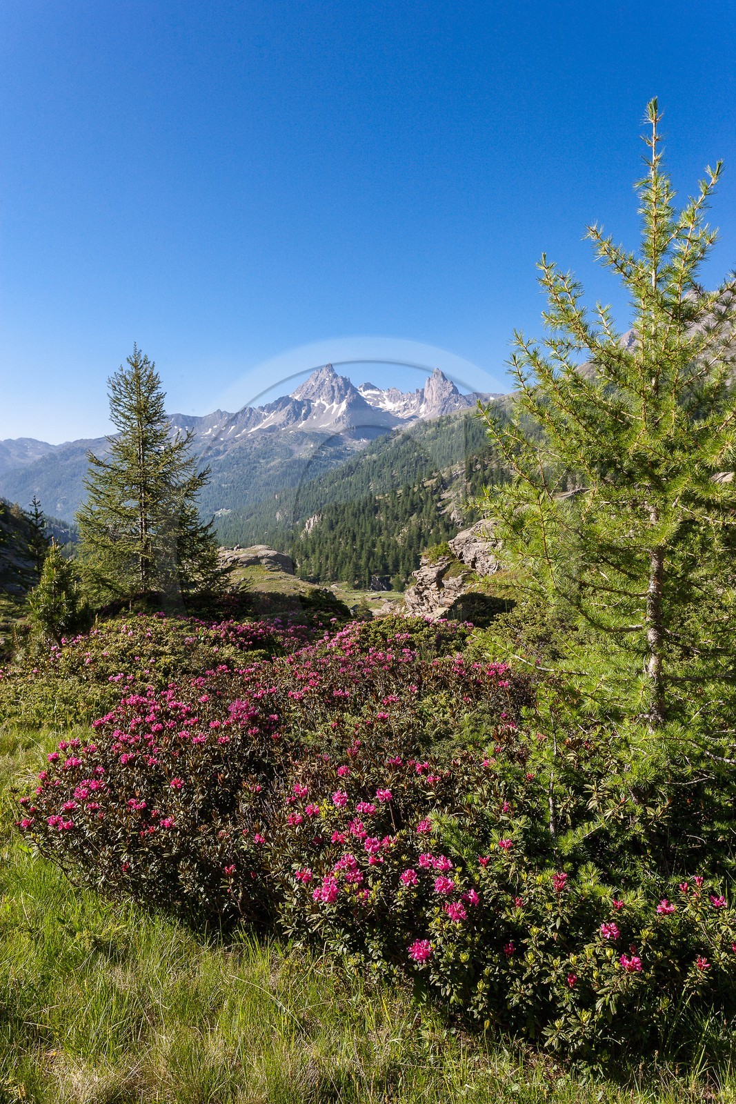 Vallée de la Clarée Vallée de la Clarée